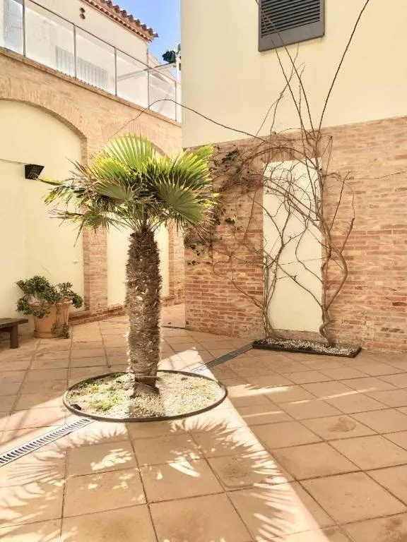 Other in Apartamentos Stella Maris