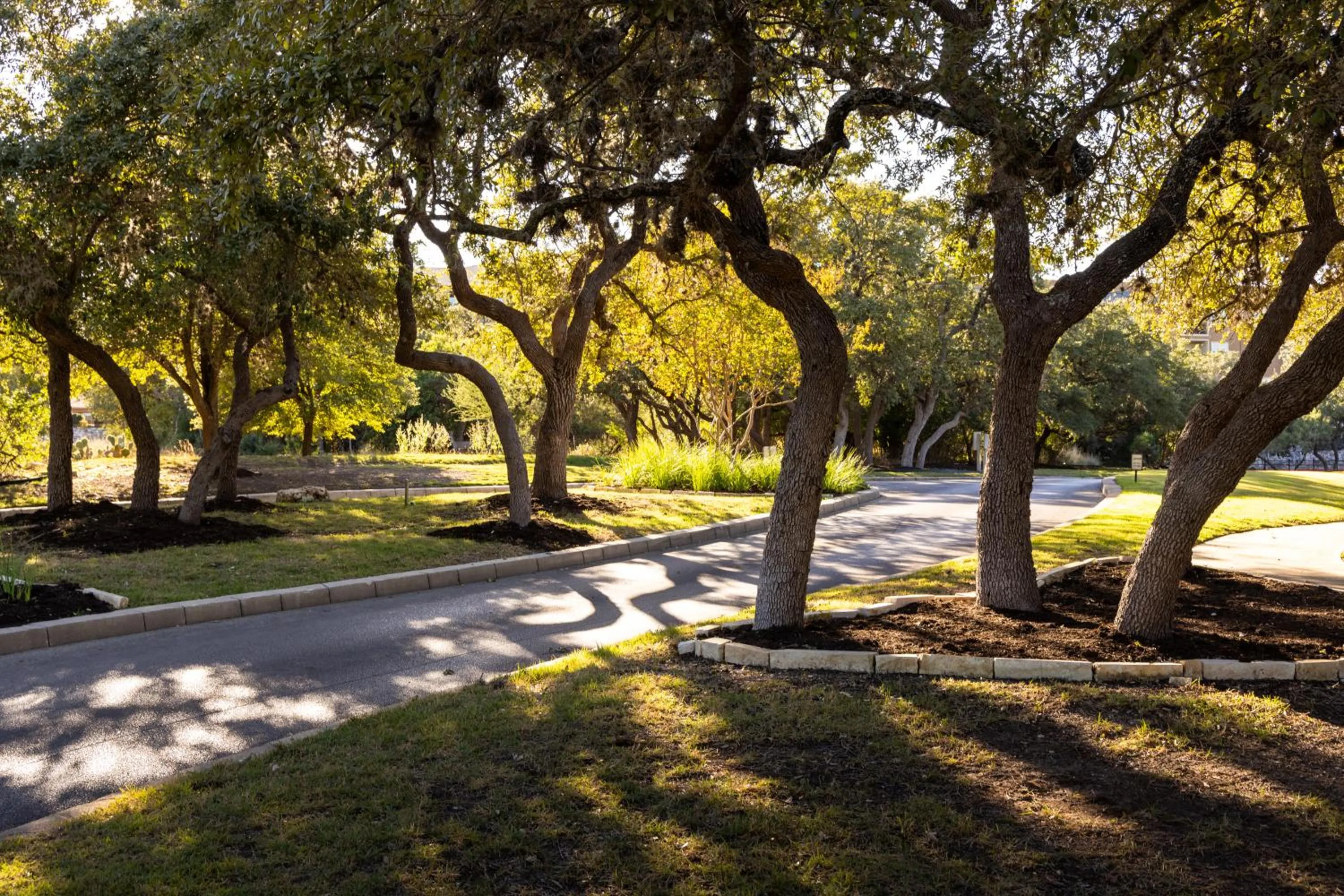 Natural landscape in Hyatt Vacation Club at Wild Oak Ranch