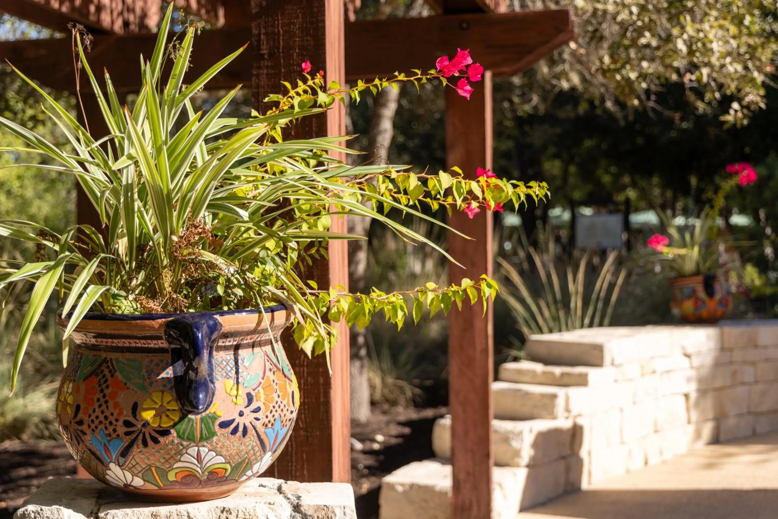 Garden in Hyatt Vacation Club at Wild Oak Ranch