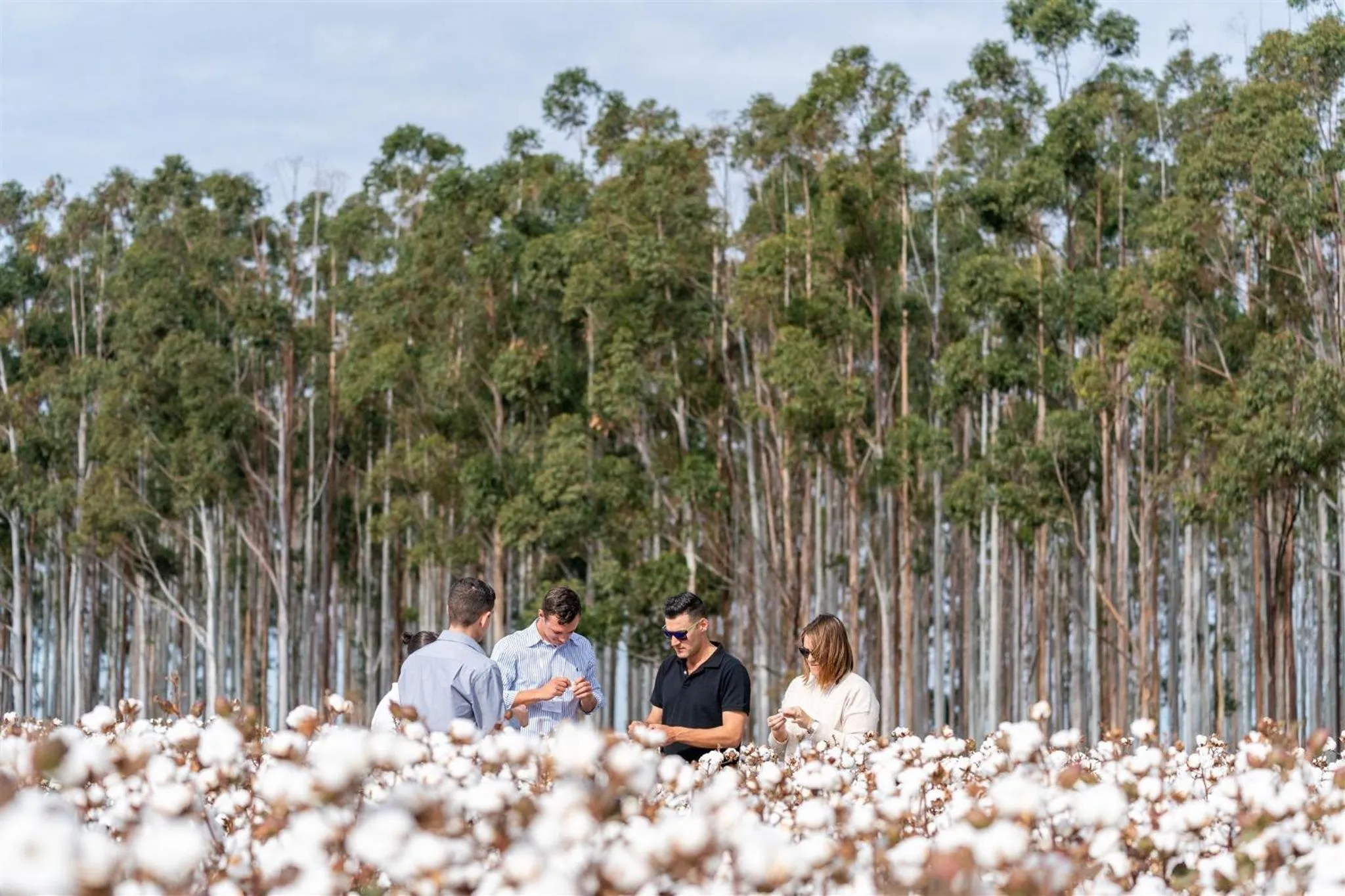 Activities in The Gem Hotel