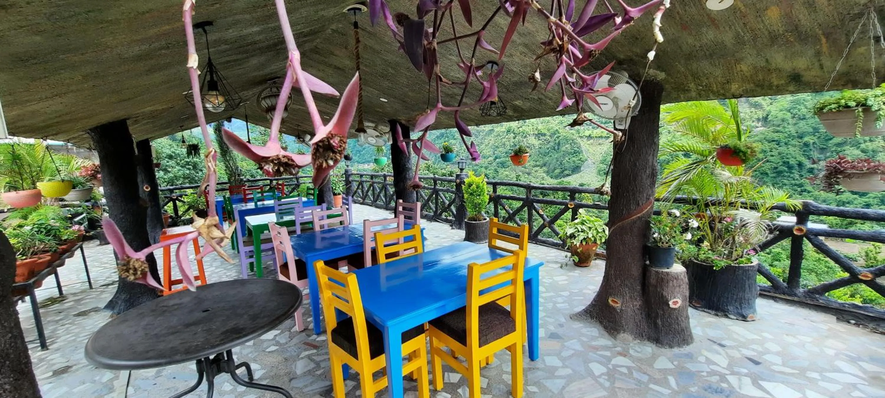 Restaurant/places to eat in HOTEL POLOMAX