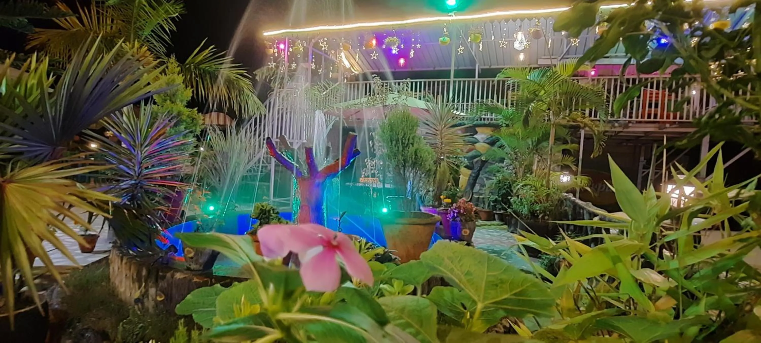 Restaurant/places to eat in HOTEL POLOMAX