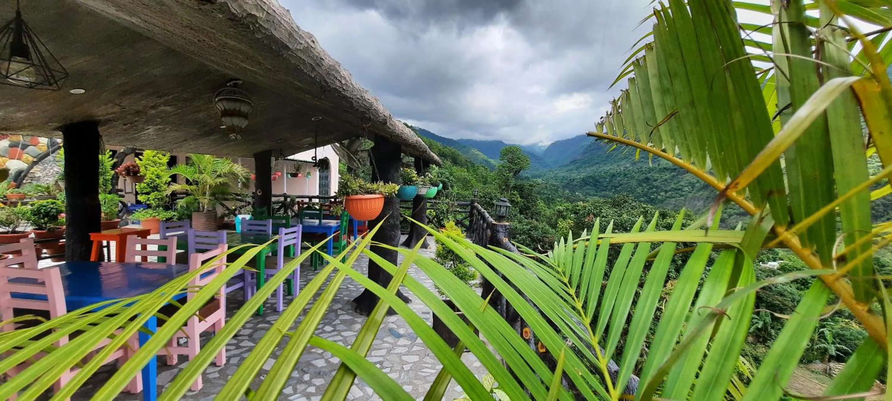 Garden view in HOTEL POLOMAX