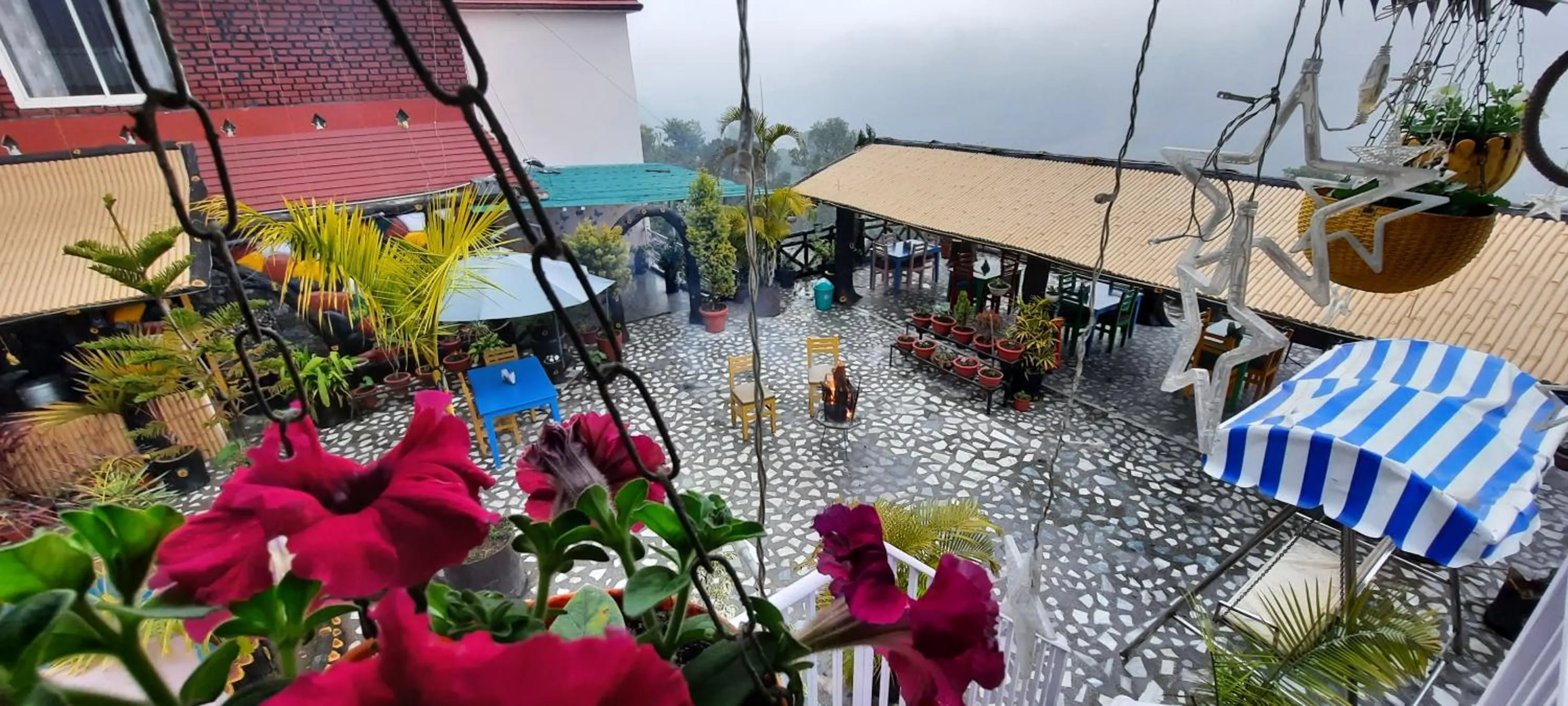Garden view in HOTEL POLOMAX
