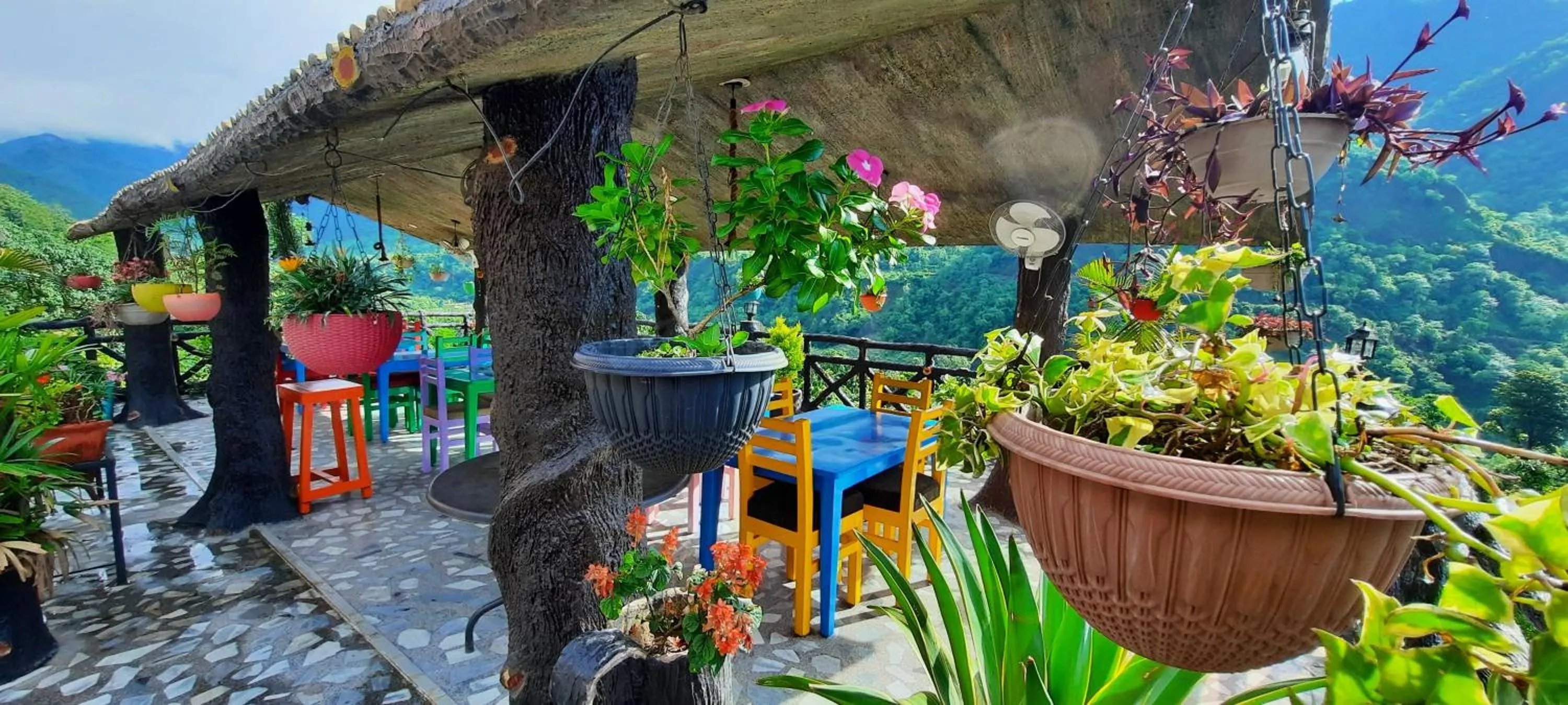 Garden view in HOTEL POLOMAX