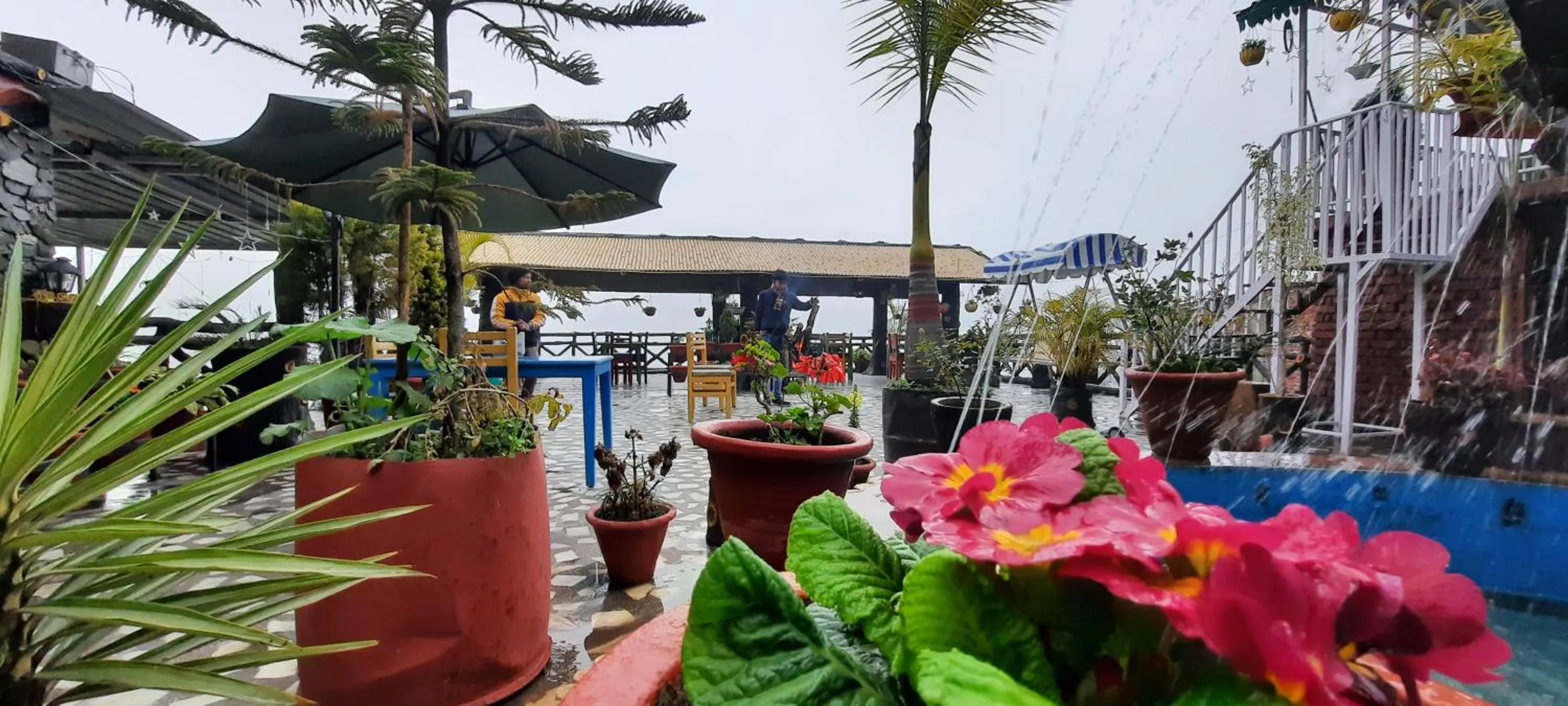 Garden in HOTEL POLOMAX