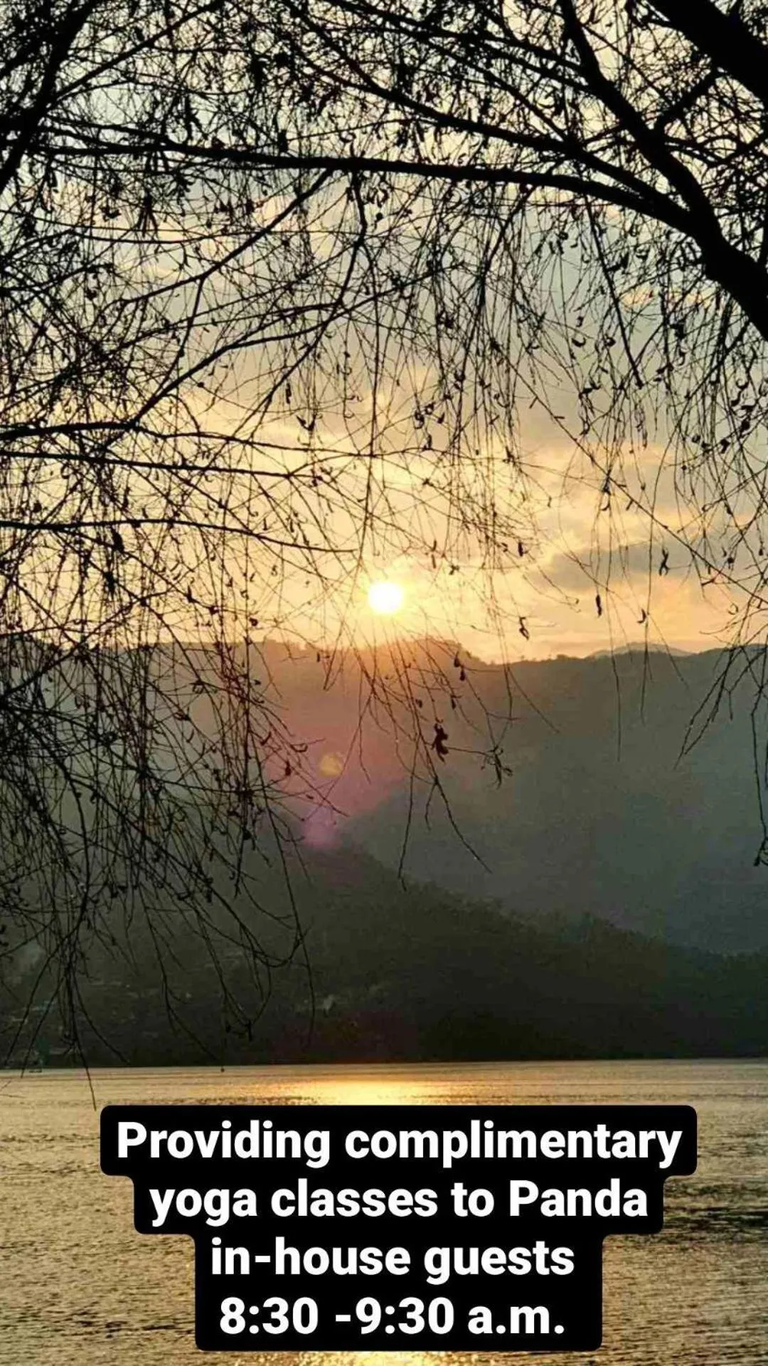 Natural landscape in New Hotel Panda