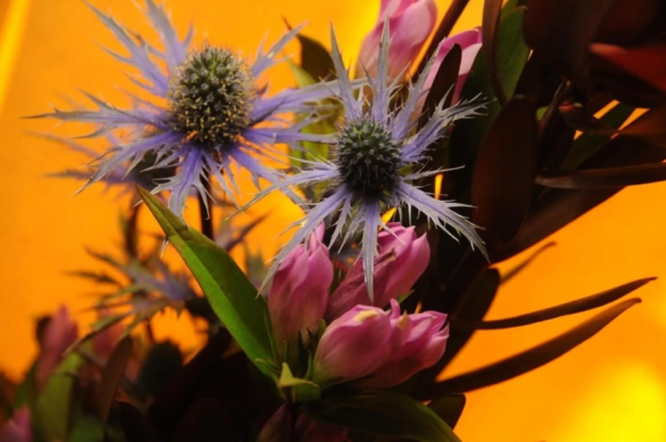 Decorative detail in The Frenchgate Hotel