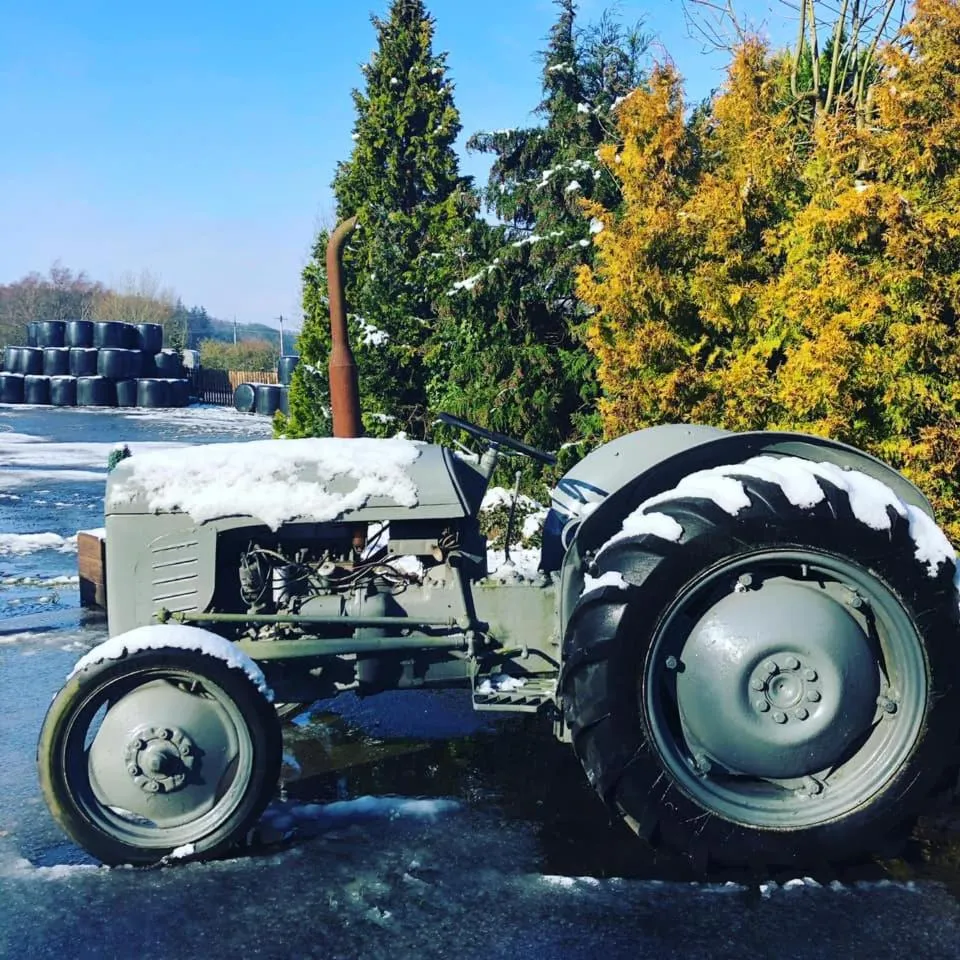 Natural landscape in Park Farm