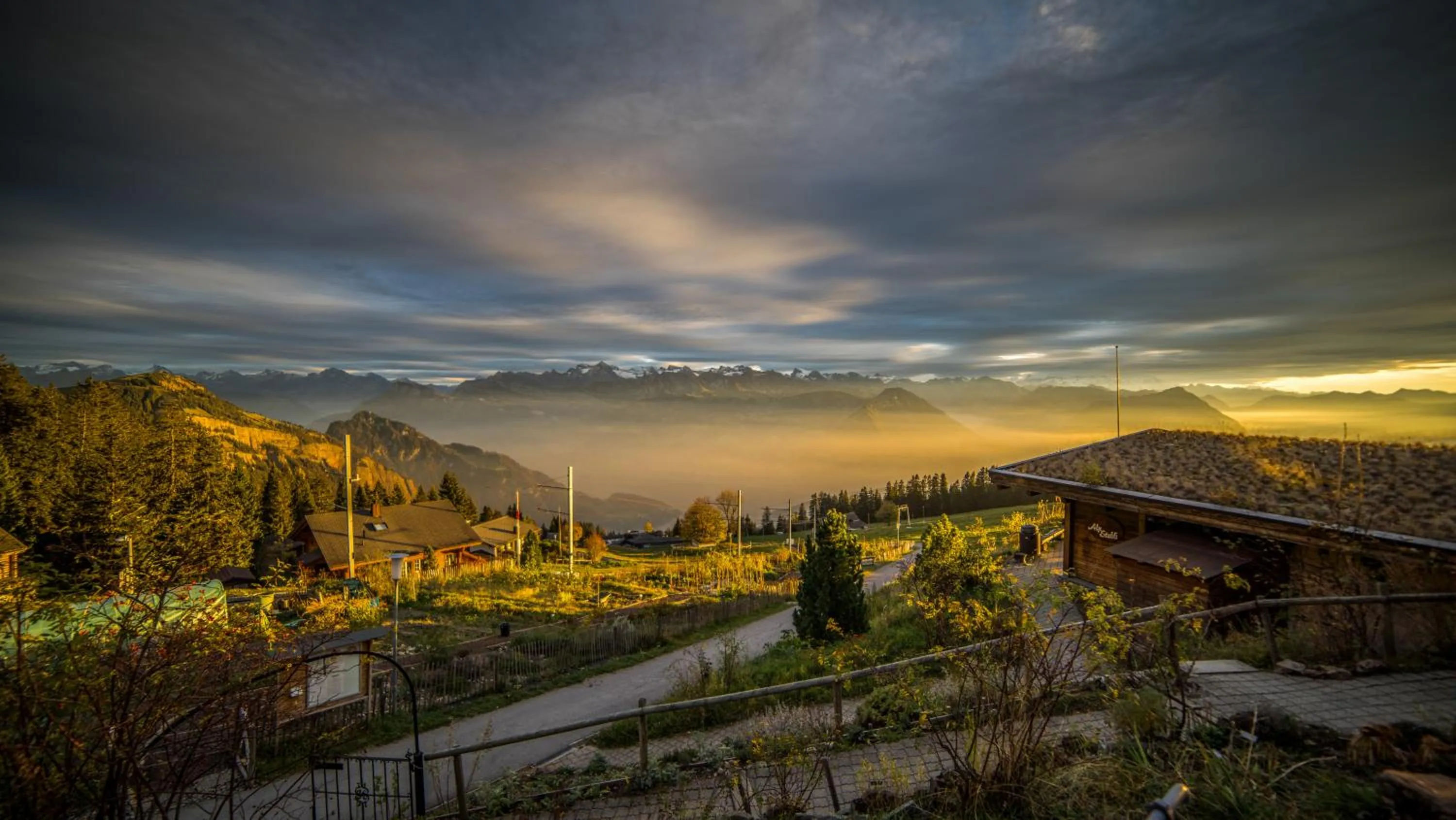 View (from property/room) in Kräuterhotel Edelweiss