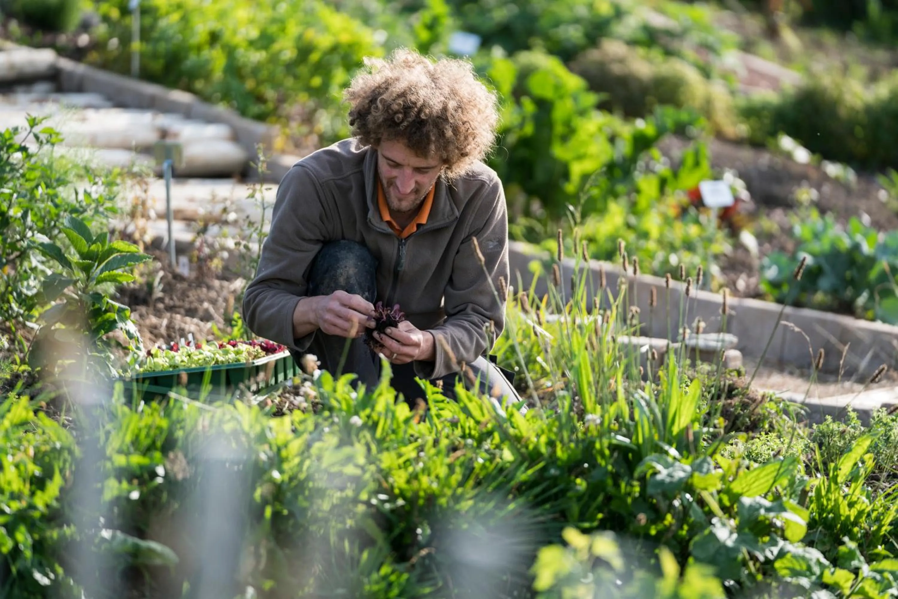 Garden in Kräuterhotel Edelweiss