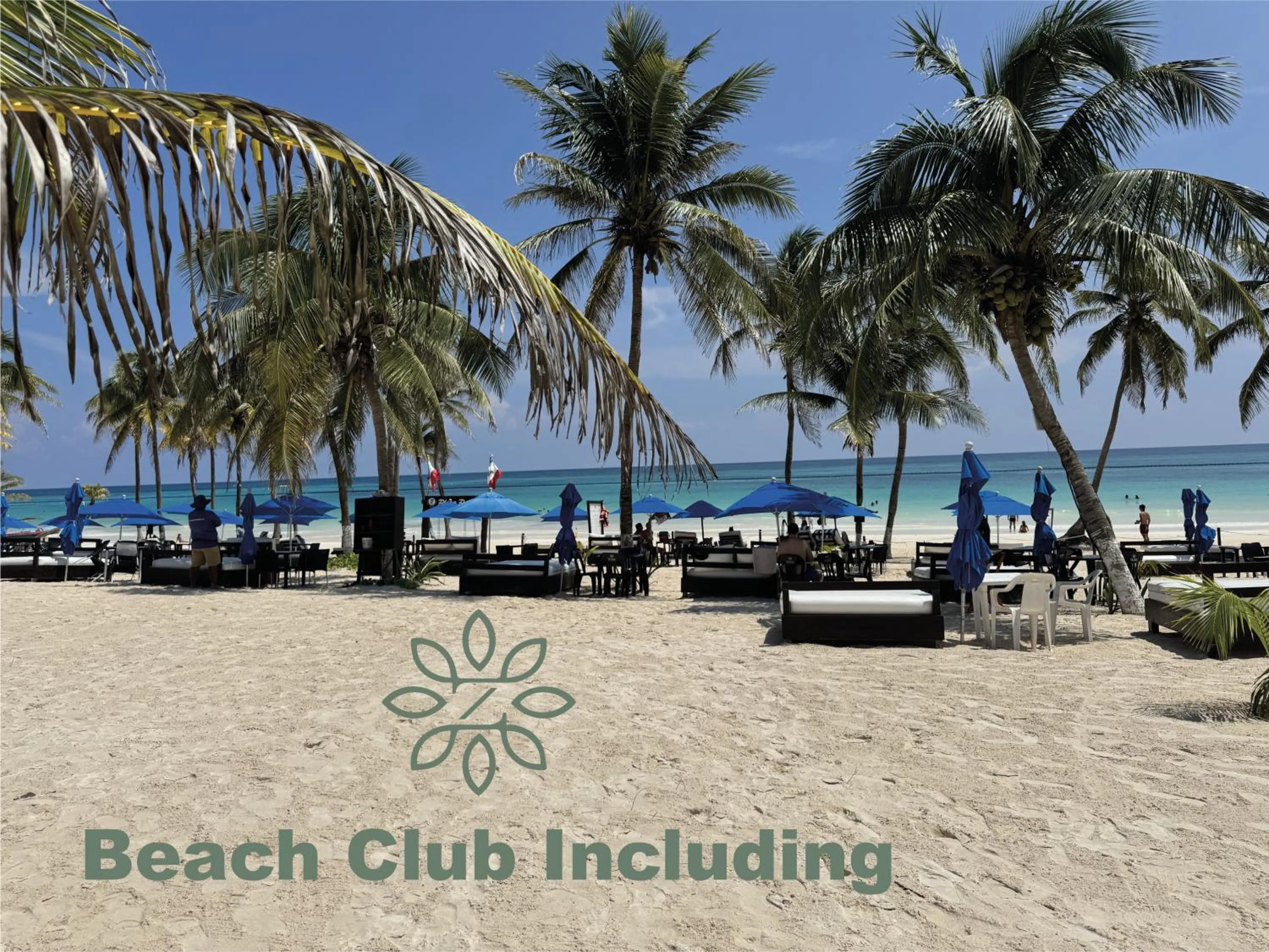 Beach in Zereno Tulum Beach Club Access