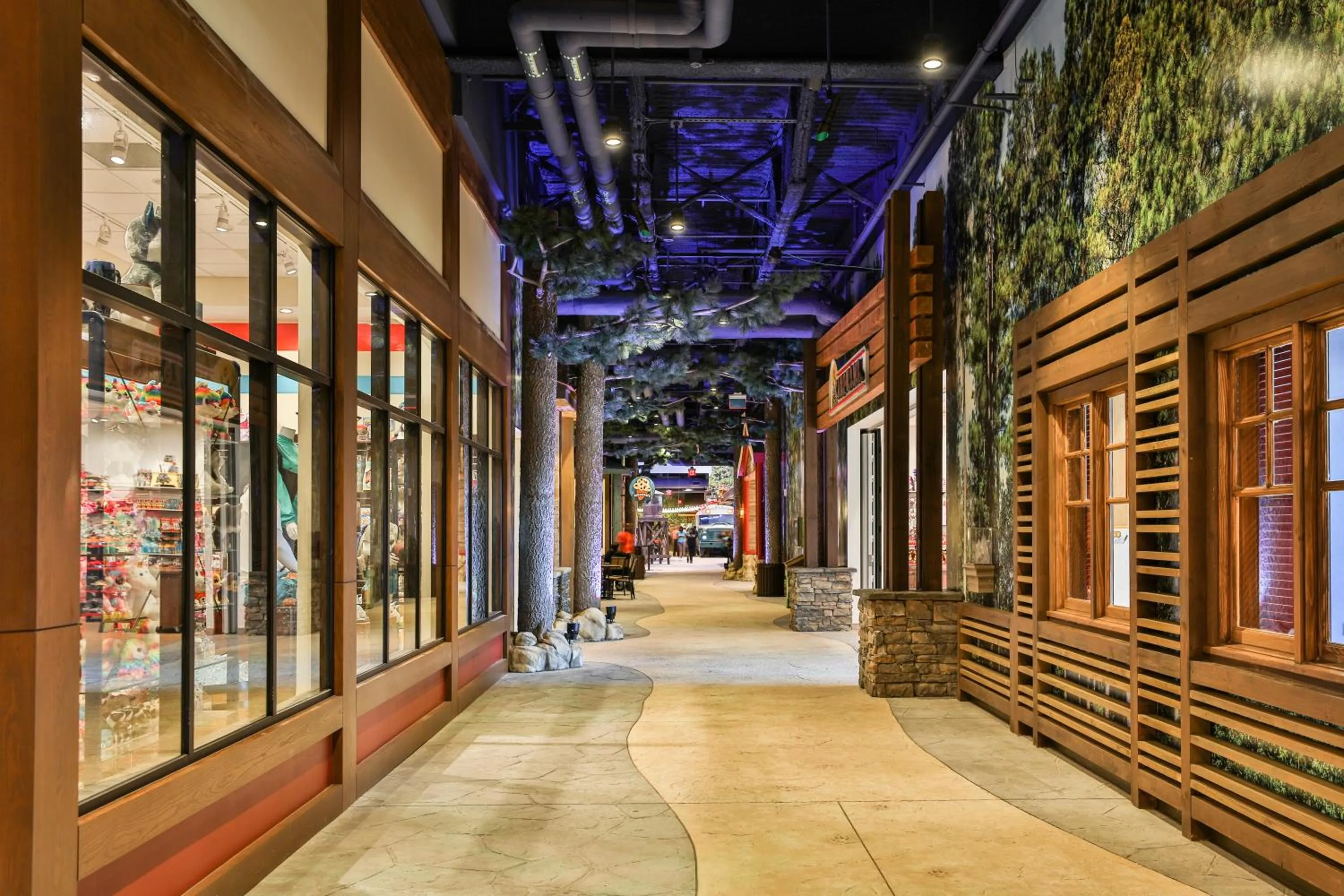 Property building in Great Wolf Lodge Georgia