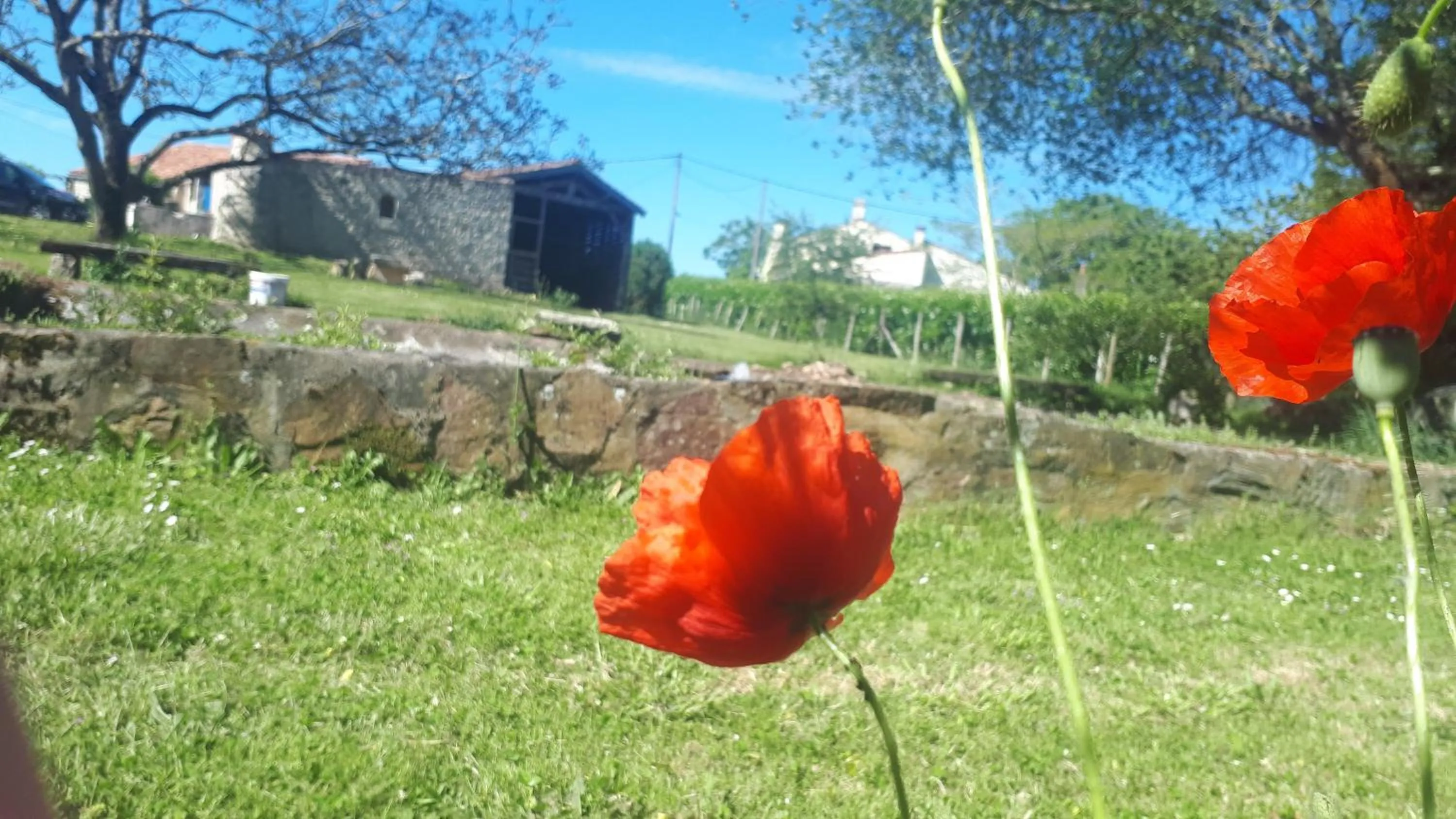 Natural landscape in Chambres d'hôtes La Frise