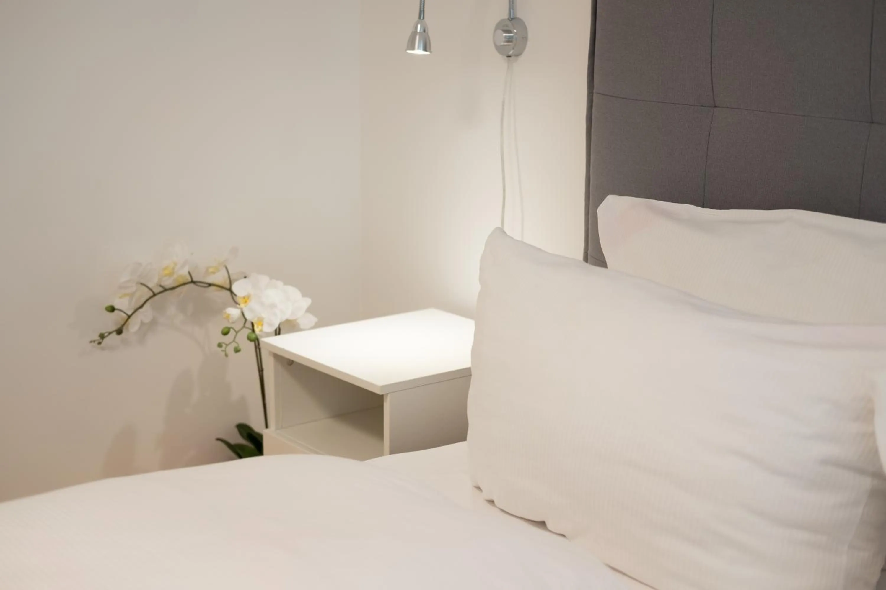 Bed in B! Apartments