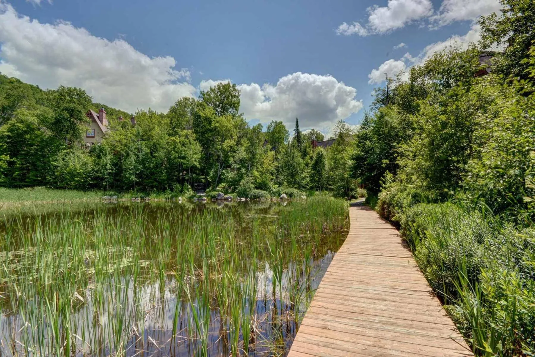 Natural landscape in Le Plateau by Tremblant Vacations