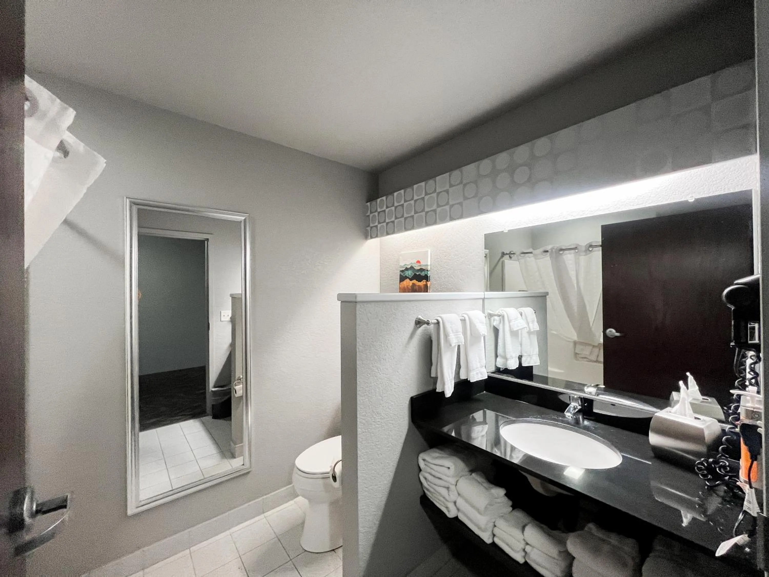 Toilet in Metropolis Resort - Eau Claire