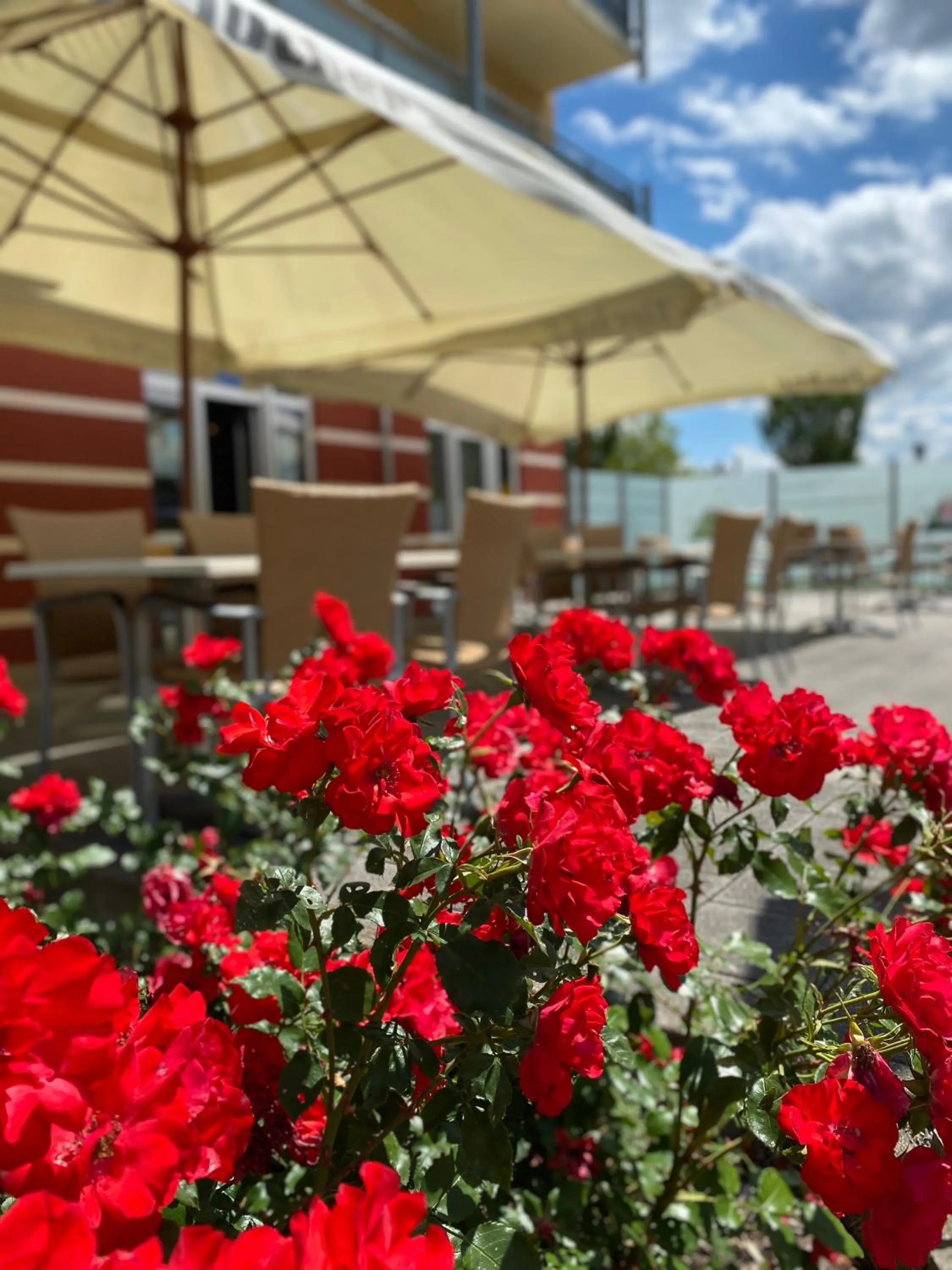 Balcony/Terrace in Kurhotel Pyramide Bad Windsheim