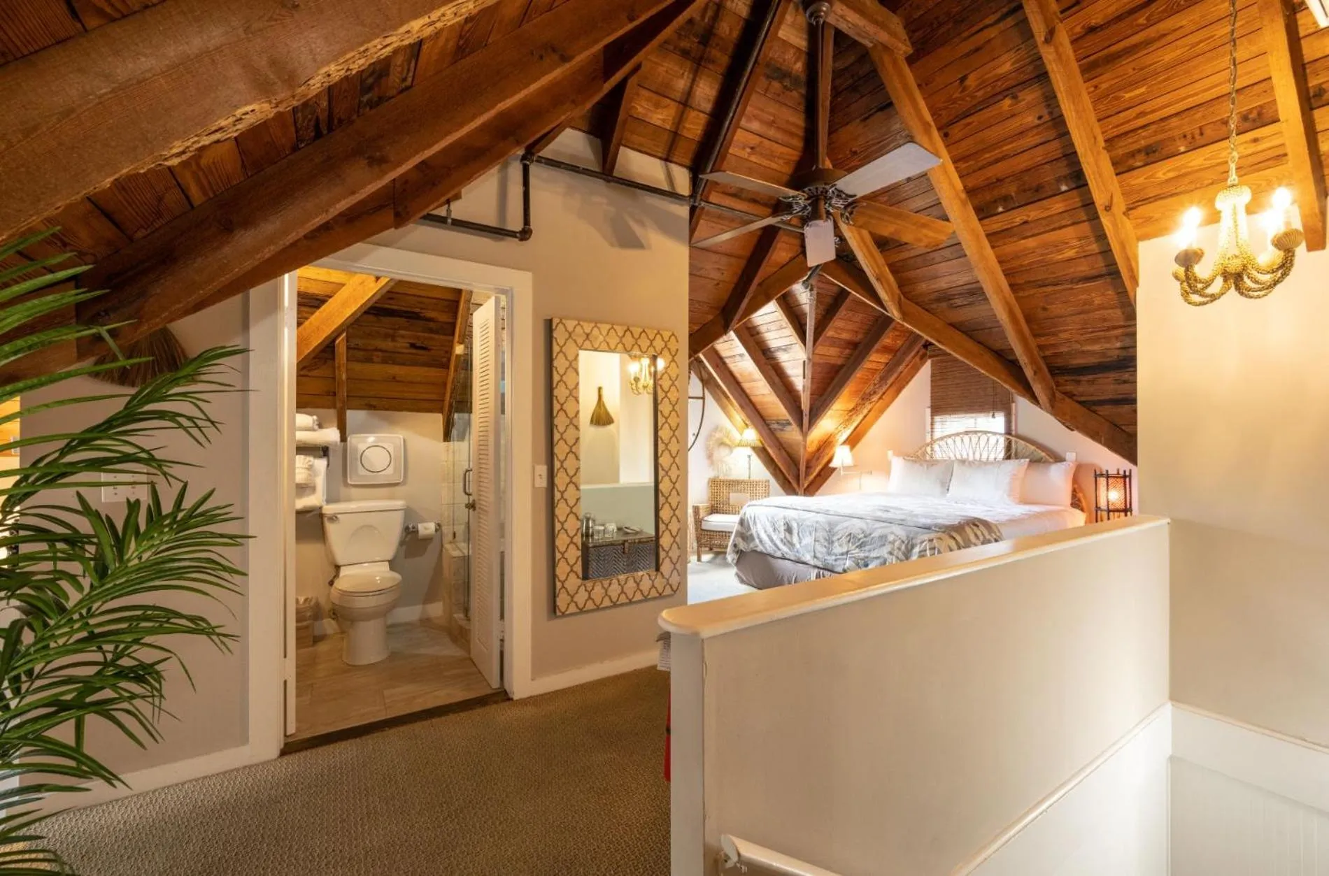 The Mermaid & The Alligator