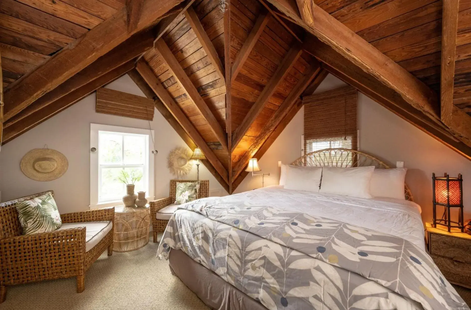 Treetop in The Mermaid & The Alligator Treetop in The Mermaid & The Alligator