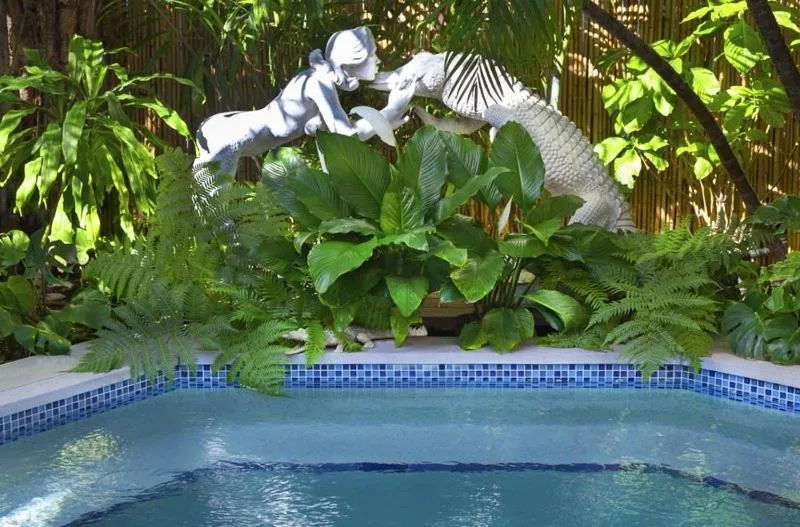 Swimming pool in The Mermaid & The Alligator