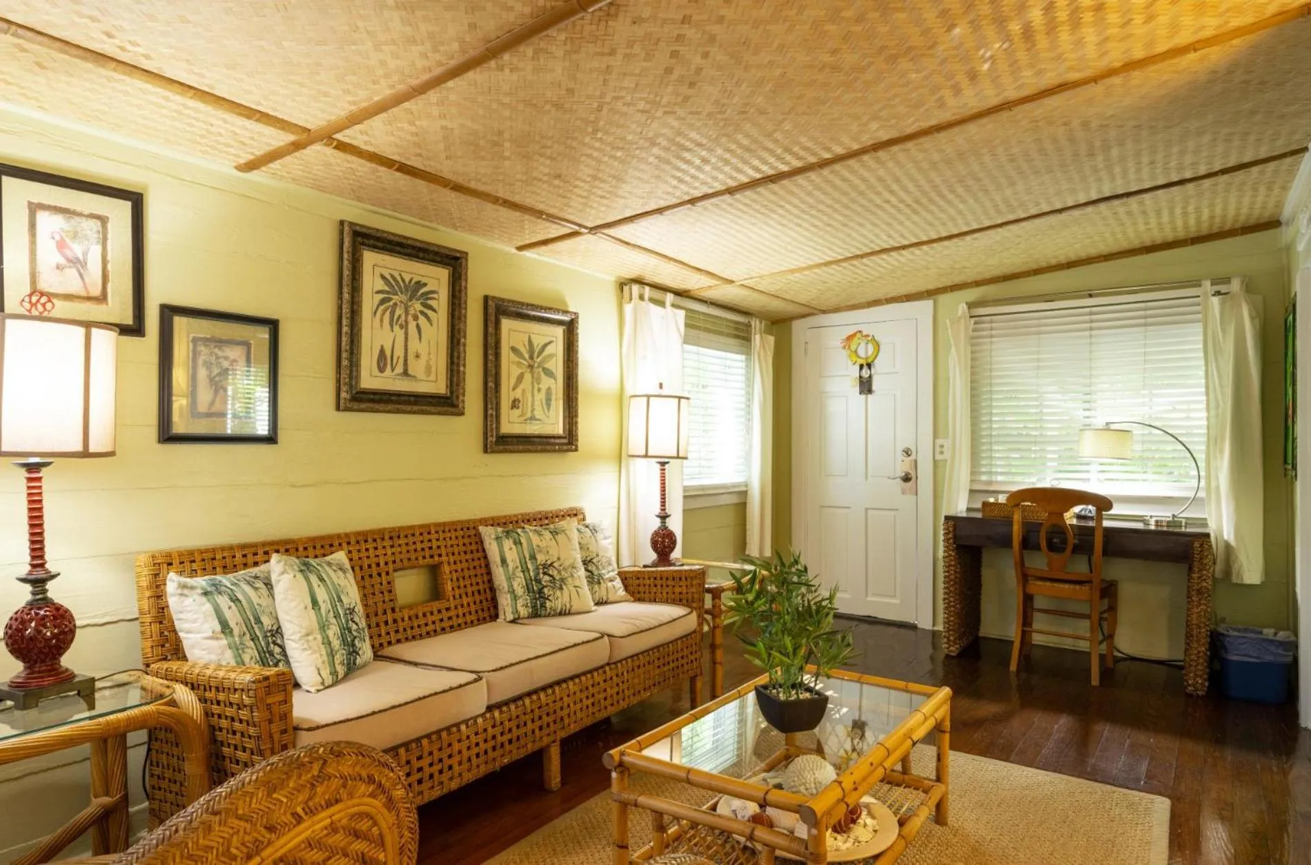 The Mermaid & The Alligator