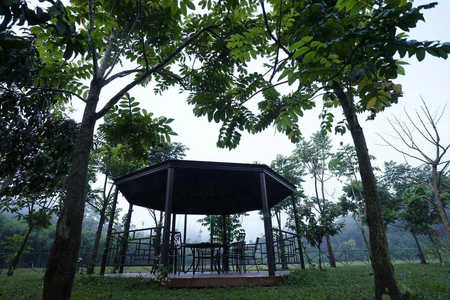 Garden view in BARSATI Ranches