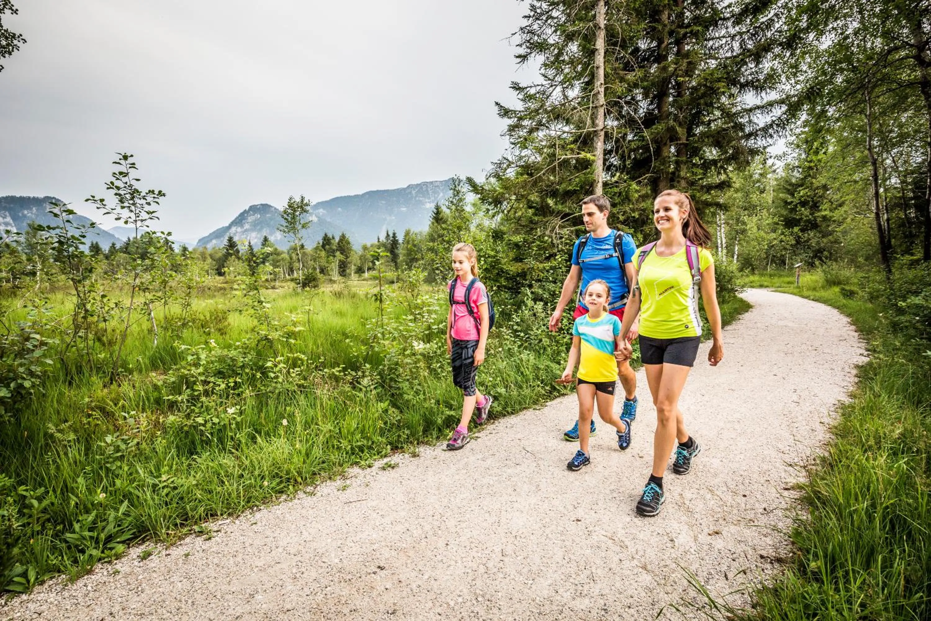 Hiking in Haus Waldesruh