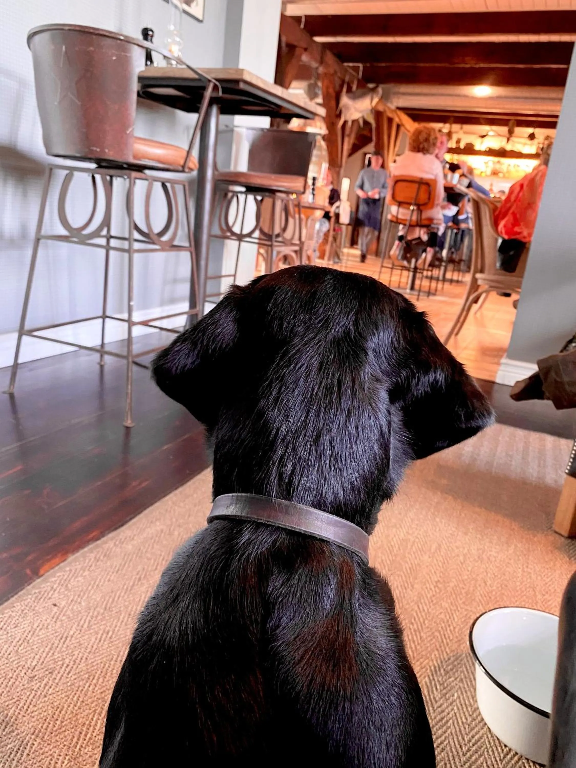 Restaurant/places to eat in Bongska Huset