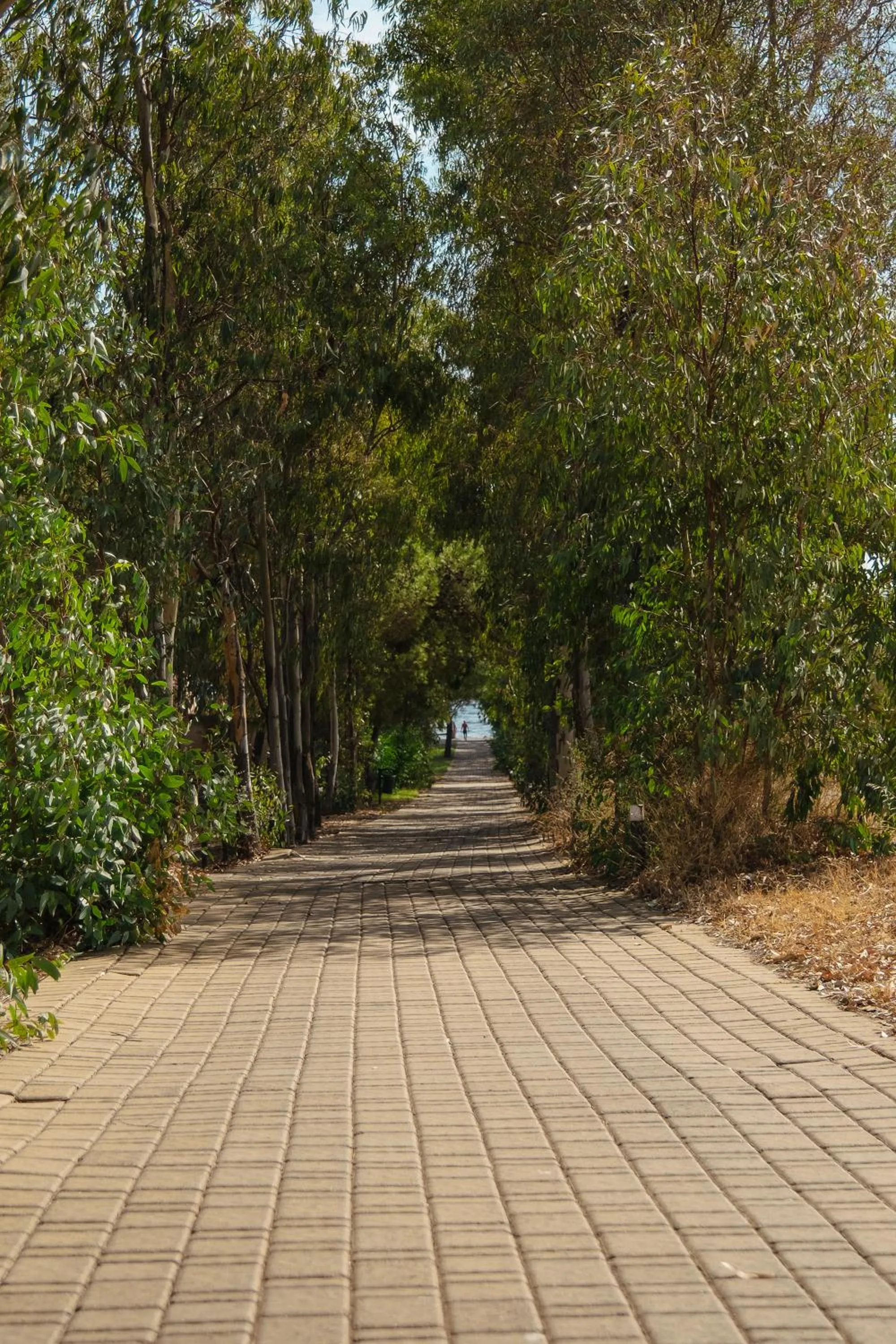 Sea view in SECRET VILLAGE Budoni