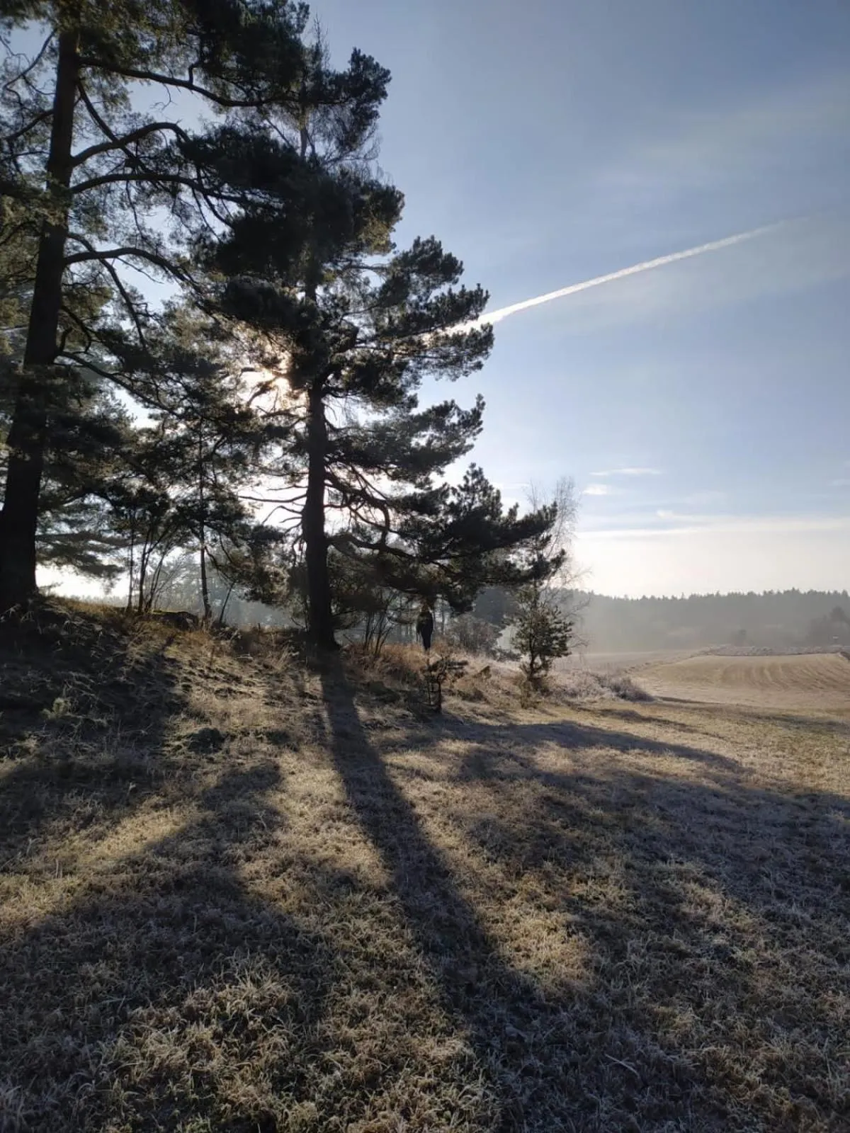 Nearby landmark in Matějovec 109 & Ubytování Na statku