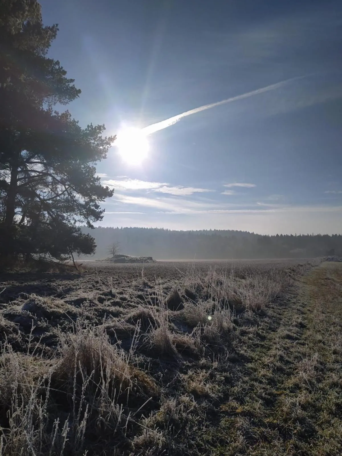 Natural landscape in Matějovec 109 & Ubytování Na statku