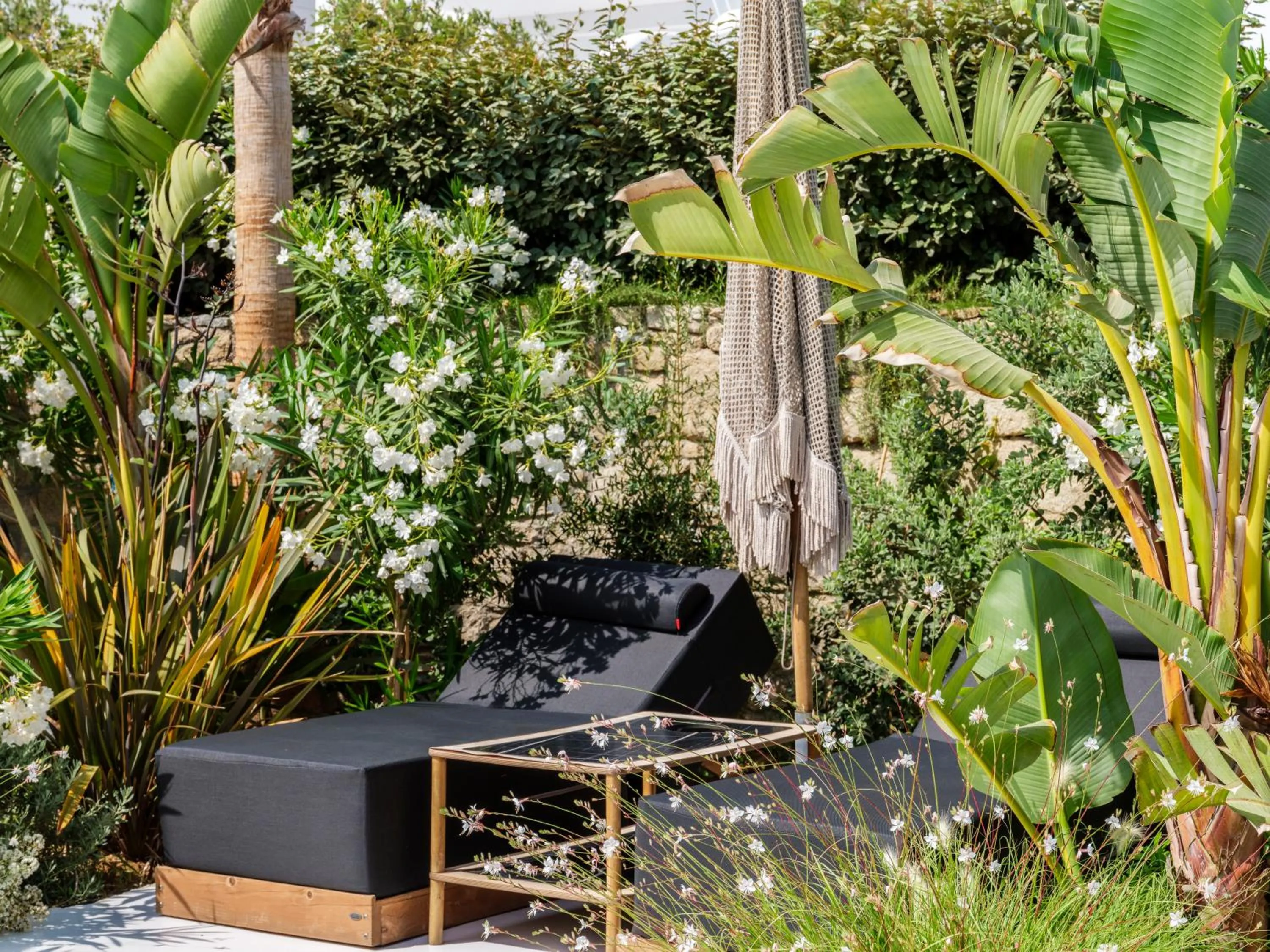 Garden view in Akkadian LGBT Boutique Hotel