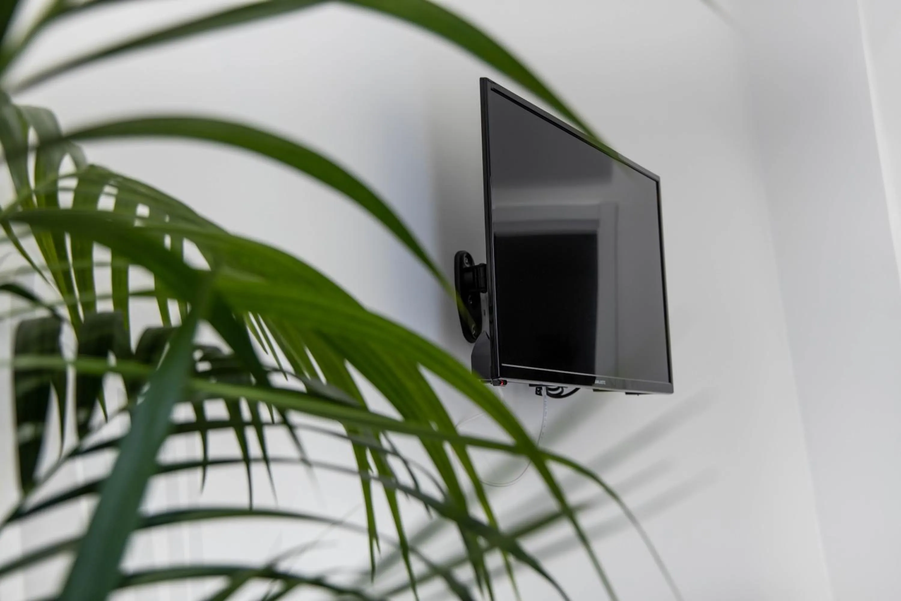 TV and multimedia in Beltrani Rent Rooms