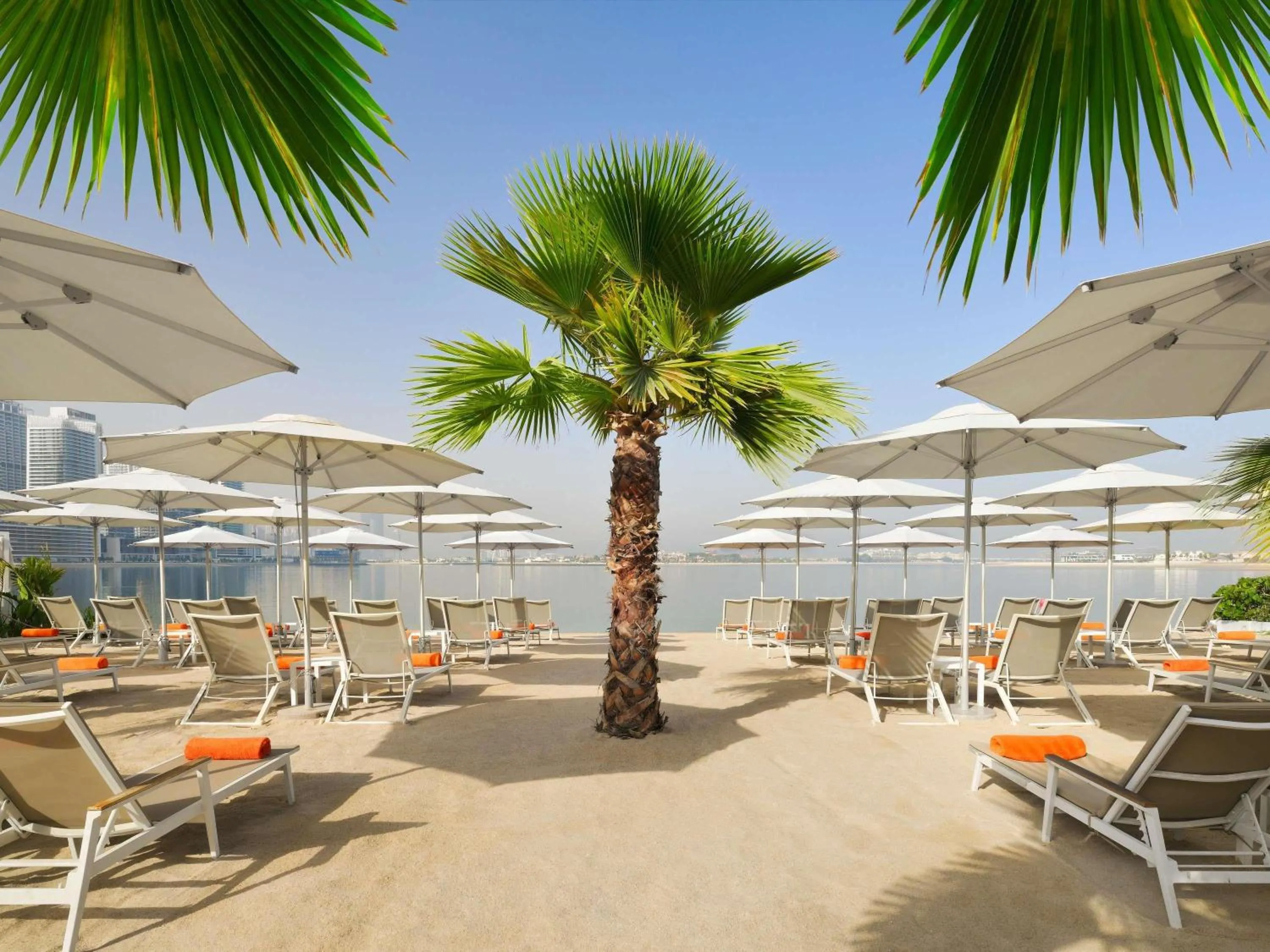 Other in Adagio Premium The Palm