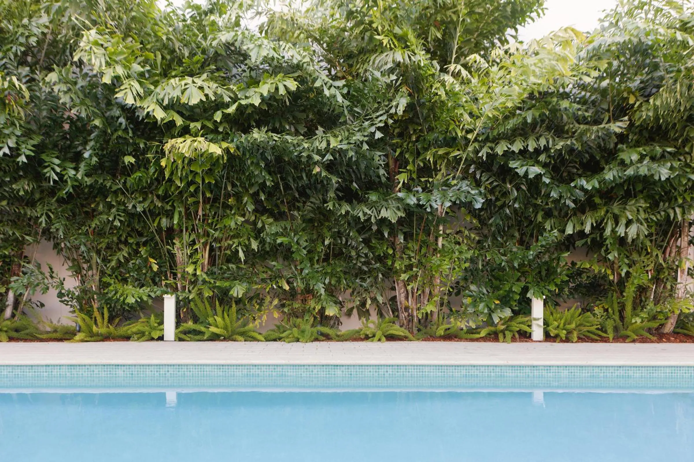 Swimming pool in The Kimpton Shorebreak Fort Lauderdale Beach Resort