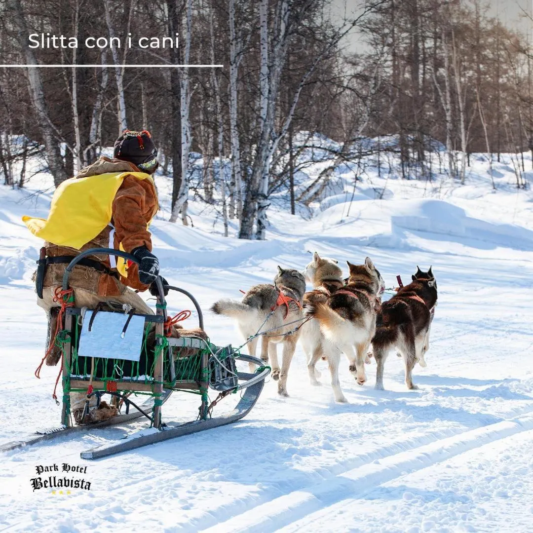 Park Hotel Bellavista