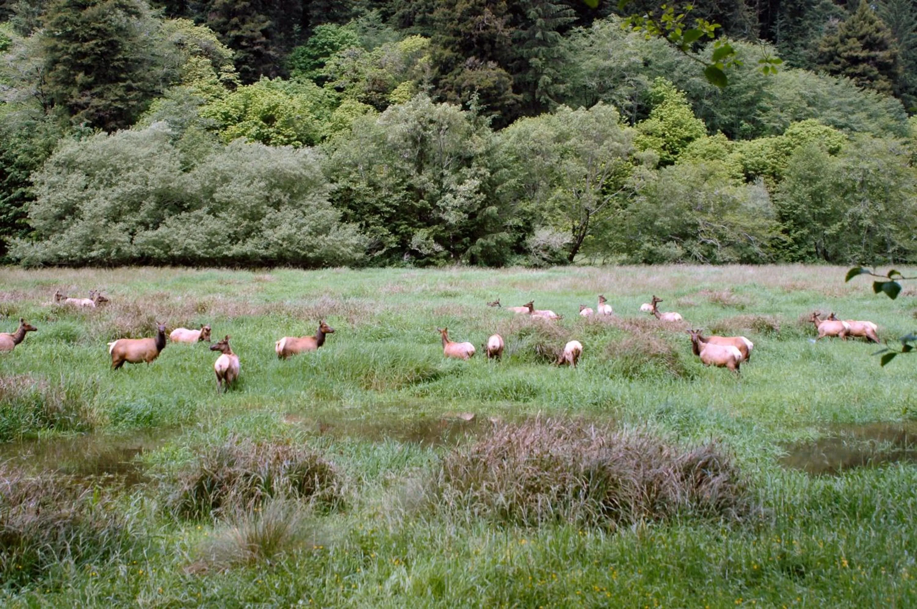 Hiking in Oceanfront Lodge