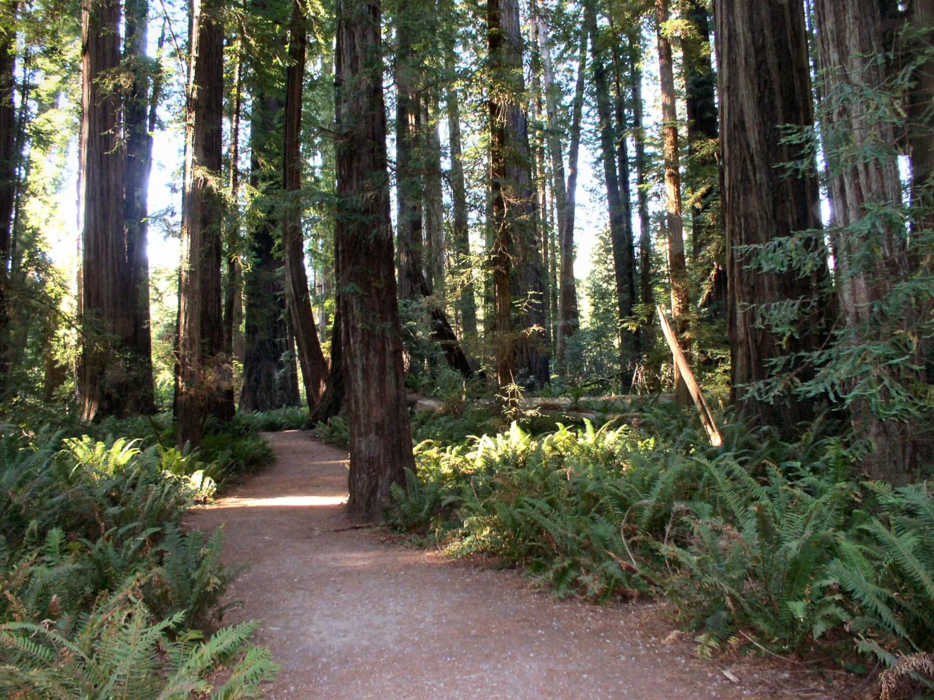 Cycling in Oceanfront Lodge