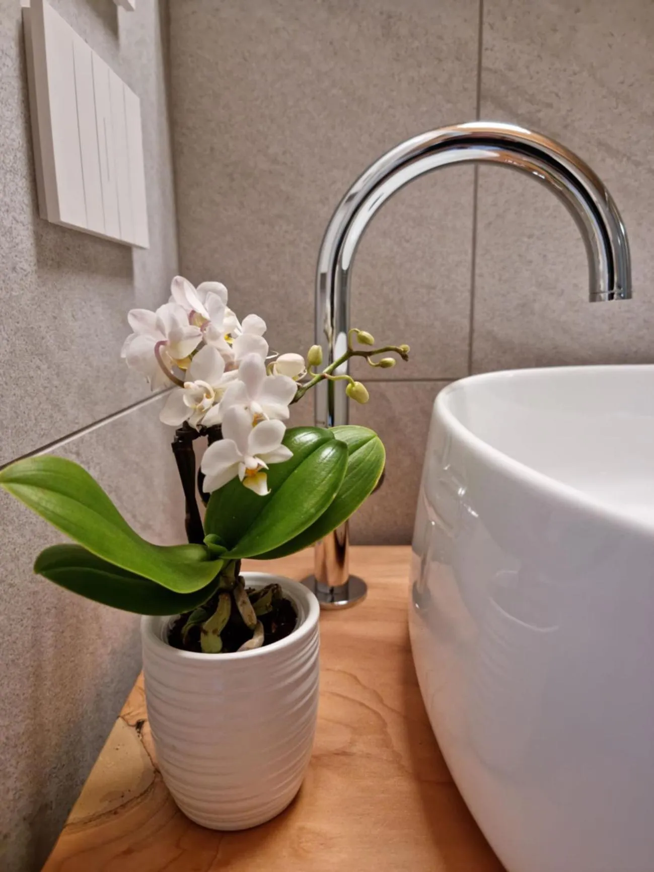 Bathroom in Elle Ecoholiday