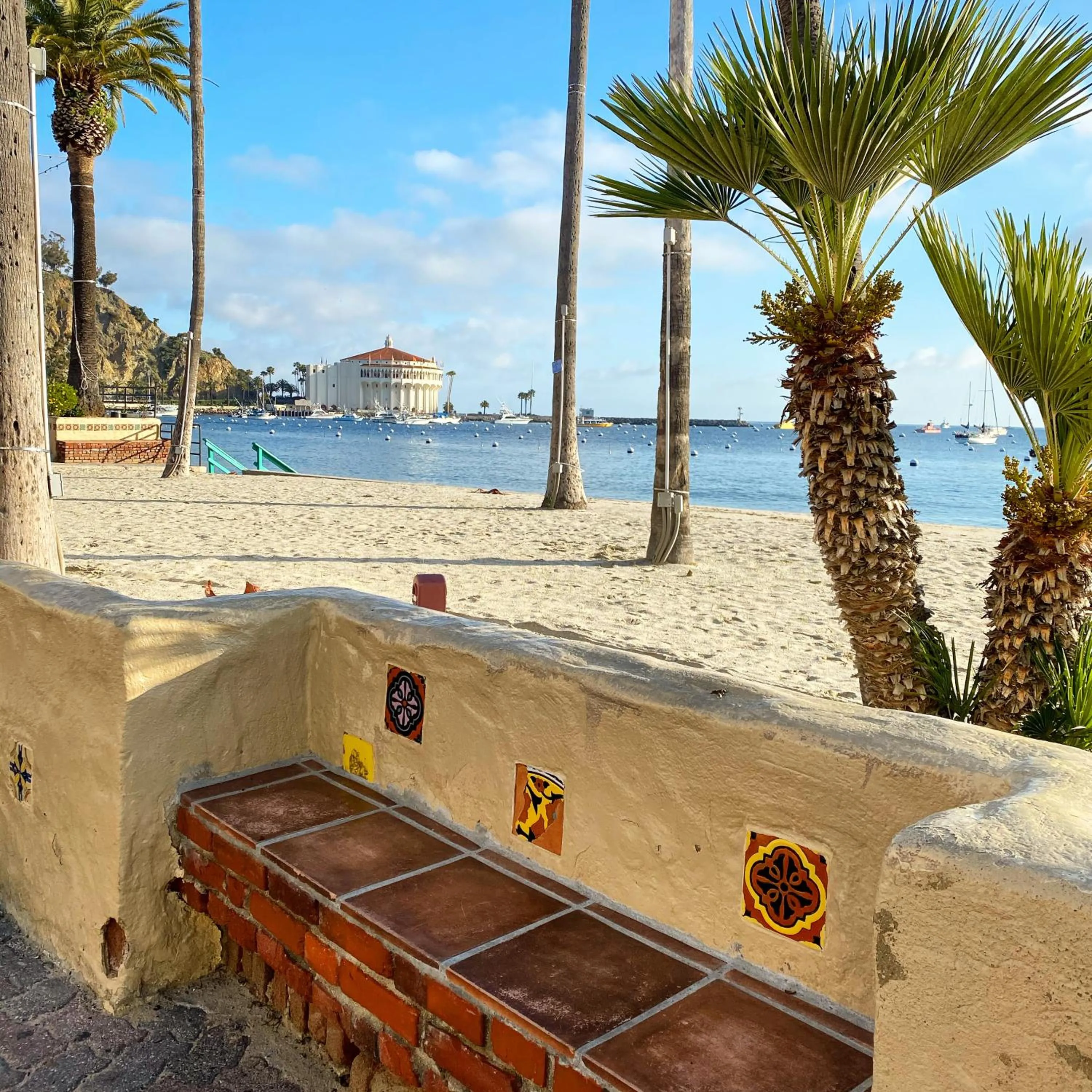 Beach in The Edgewater