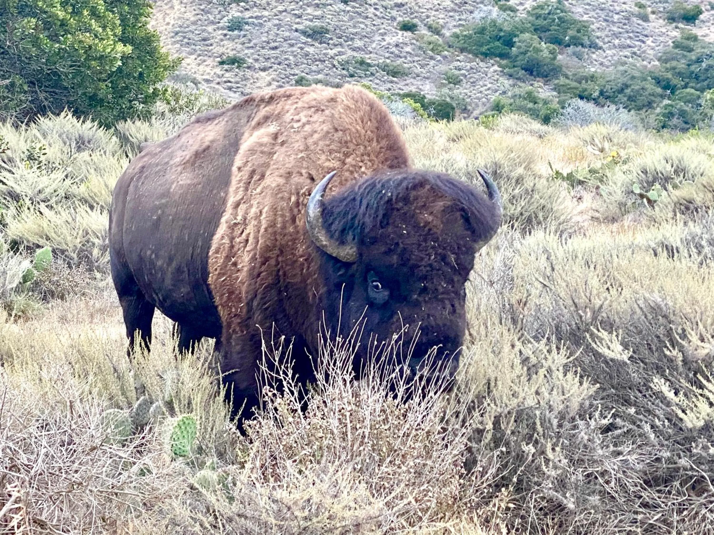 Natural landscape in The Edgewater