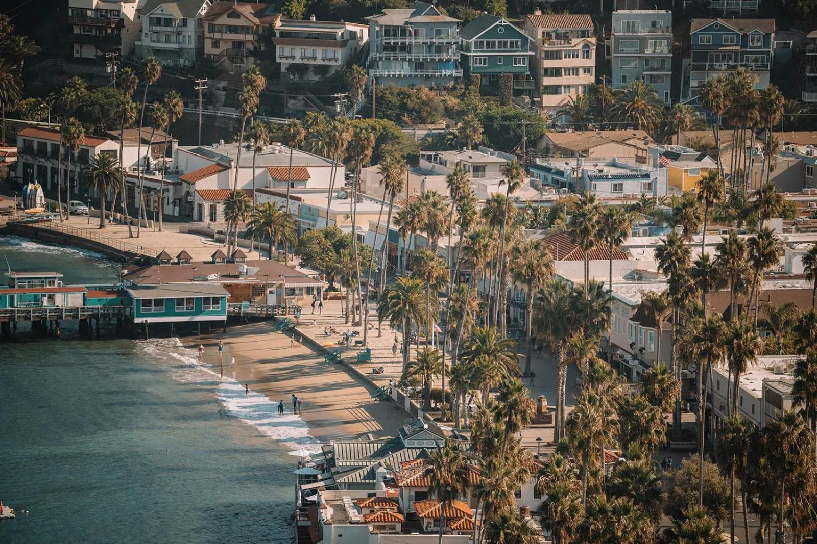 Natural landscape in The Edgewater