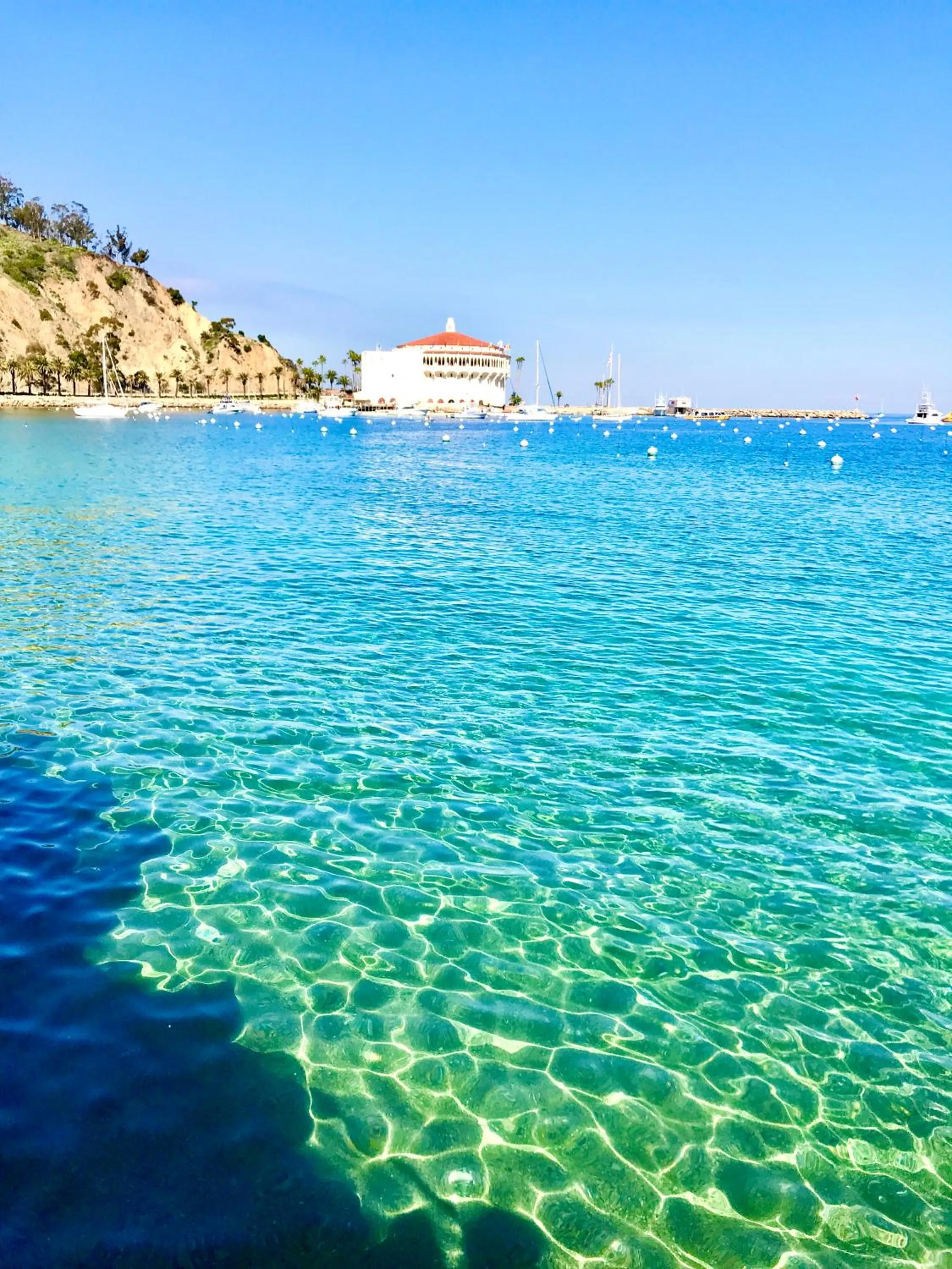 Nearby landmark in The Edgewater