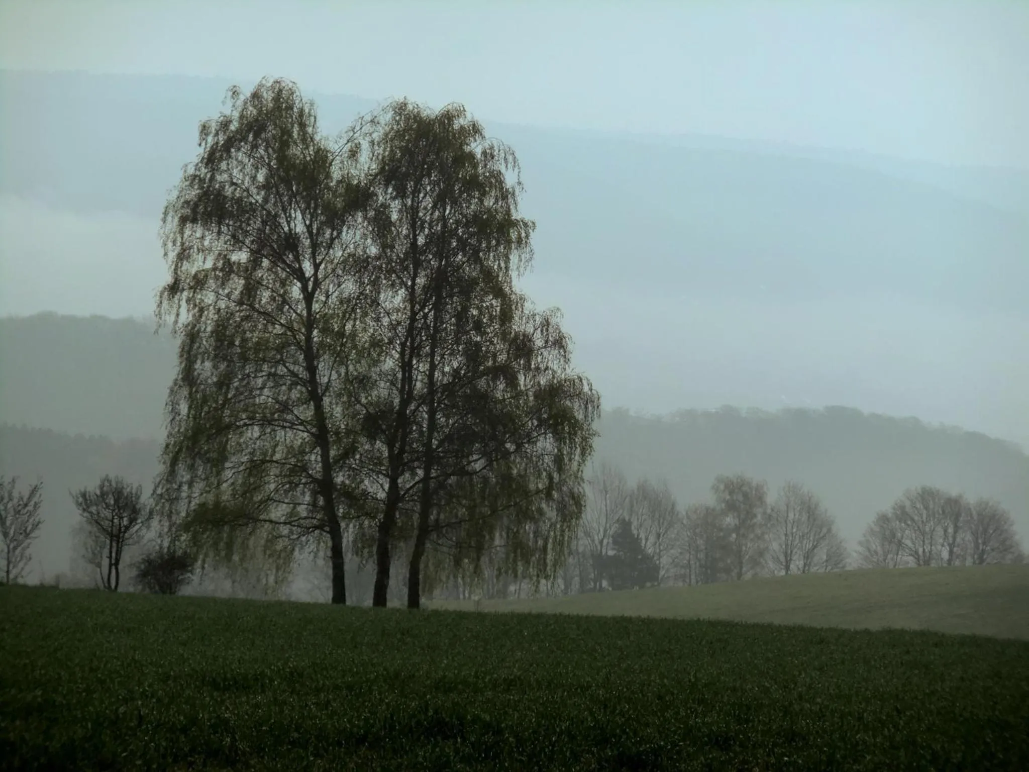 Natural landscape in Landhotel Windlicht