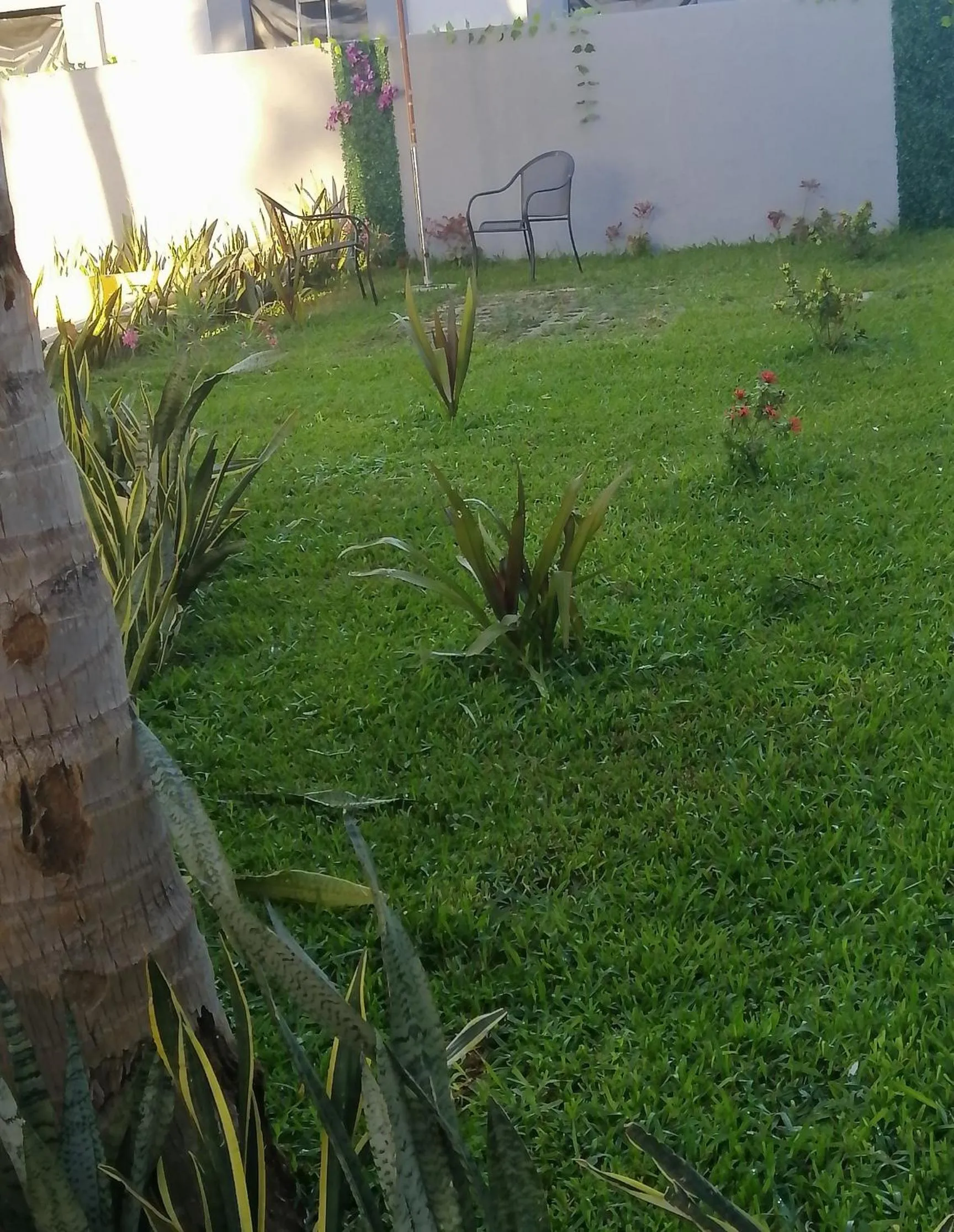 Garden in Habitaciones del Pacifico