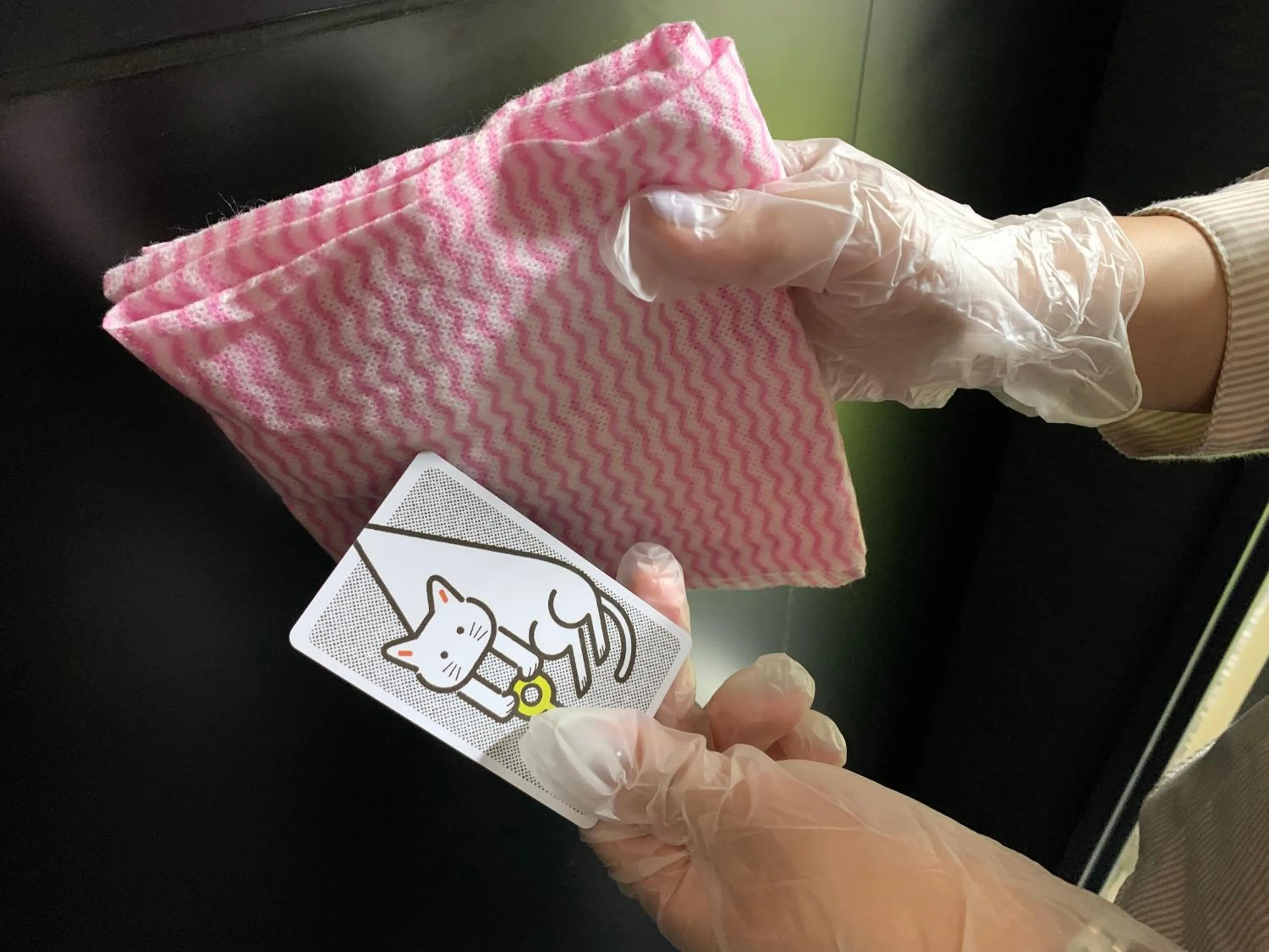 Photo of the whole room in HOTEL TAVINOS Kyoto