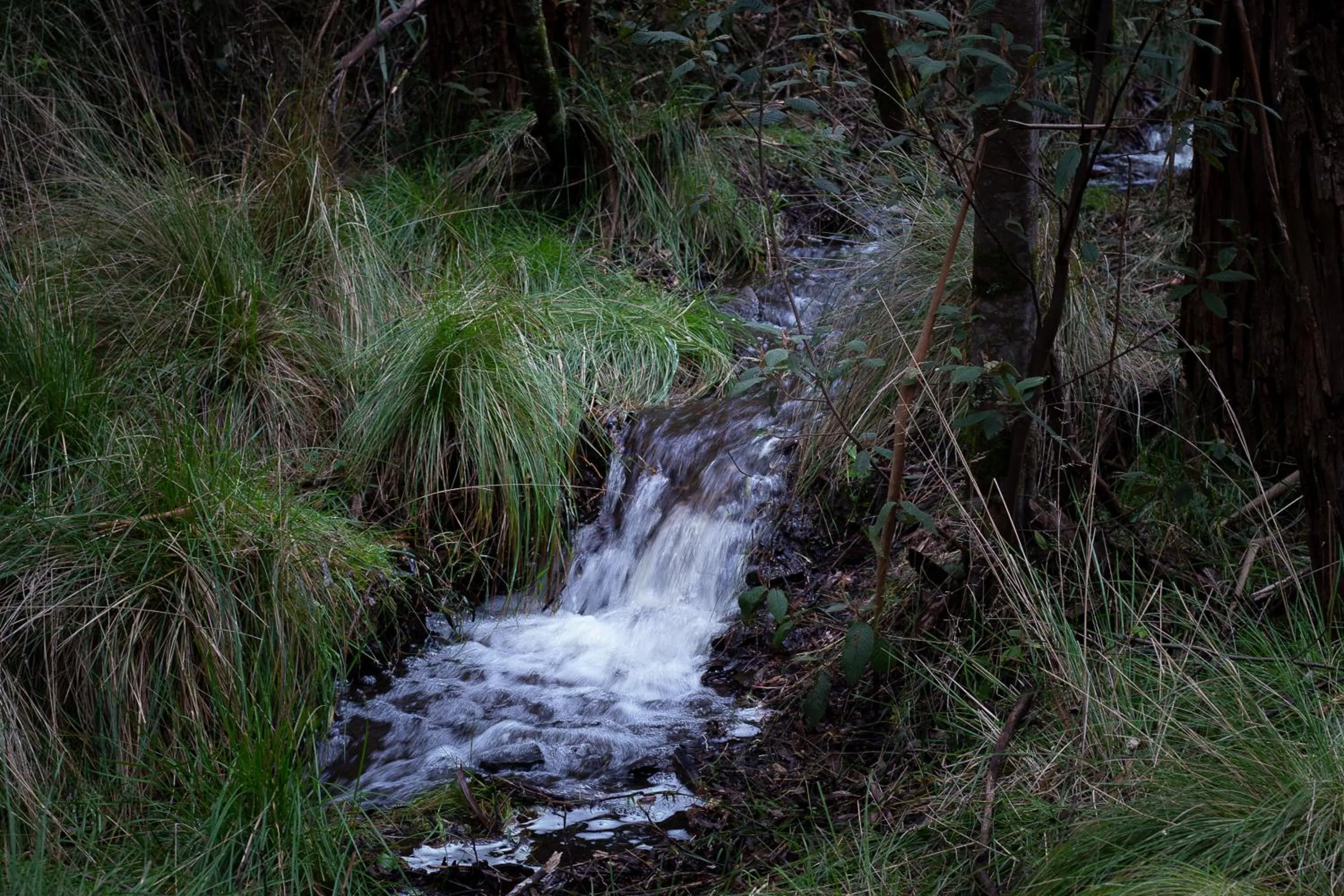 Natural landscape in Hanging Rock Views