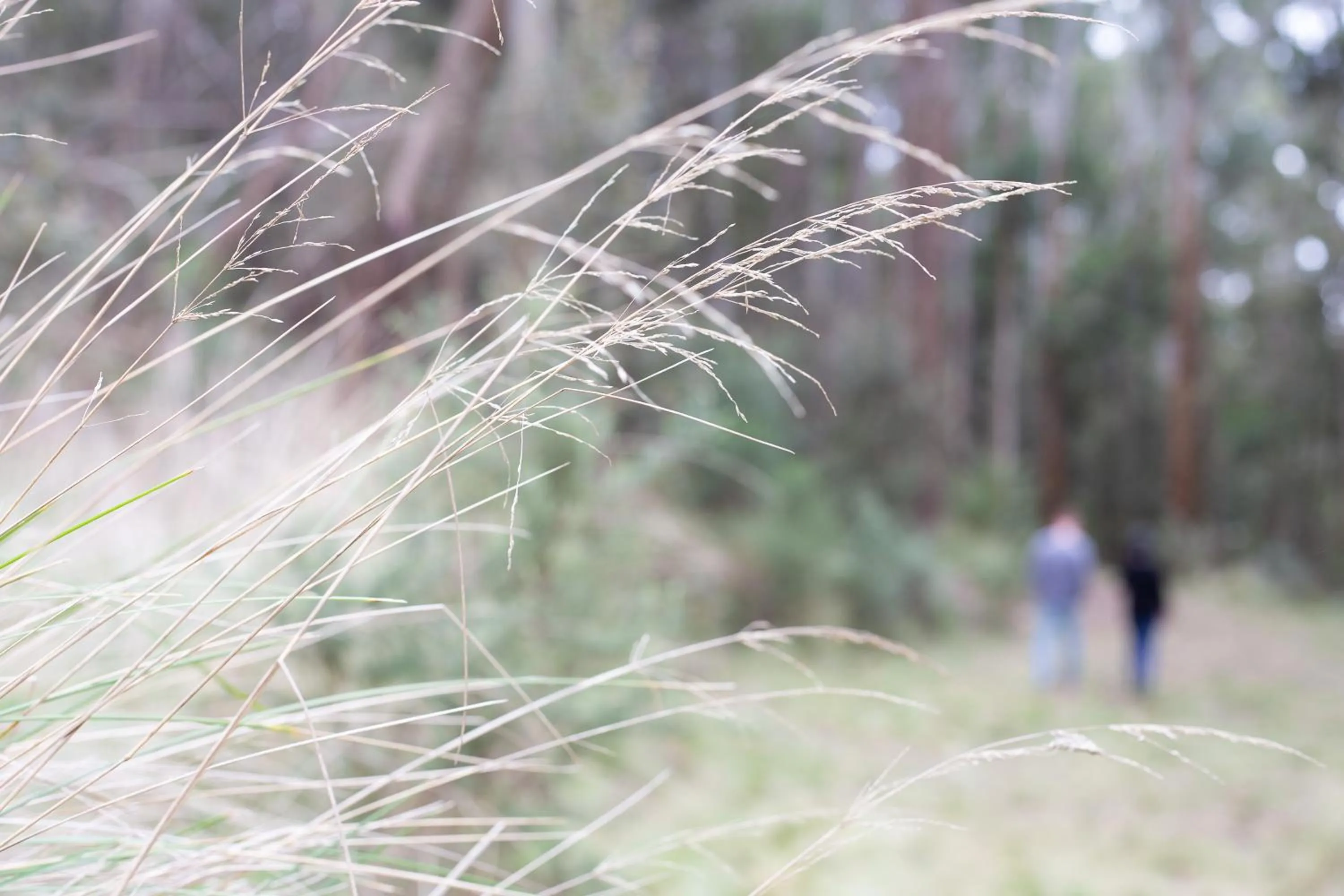 Hiking in Hanging Rock Views
