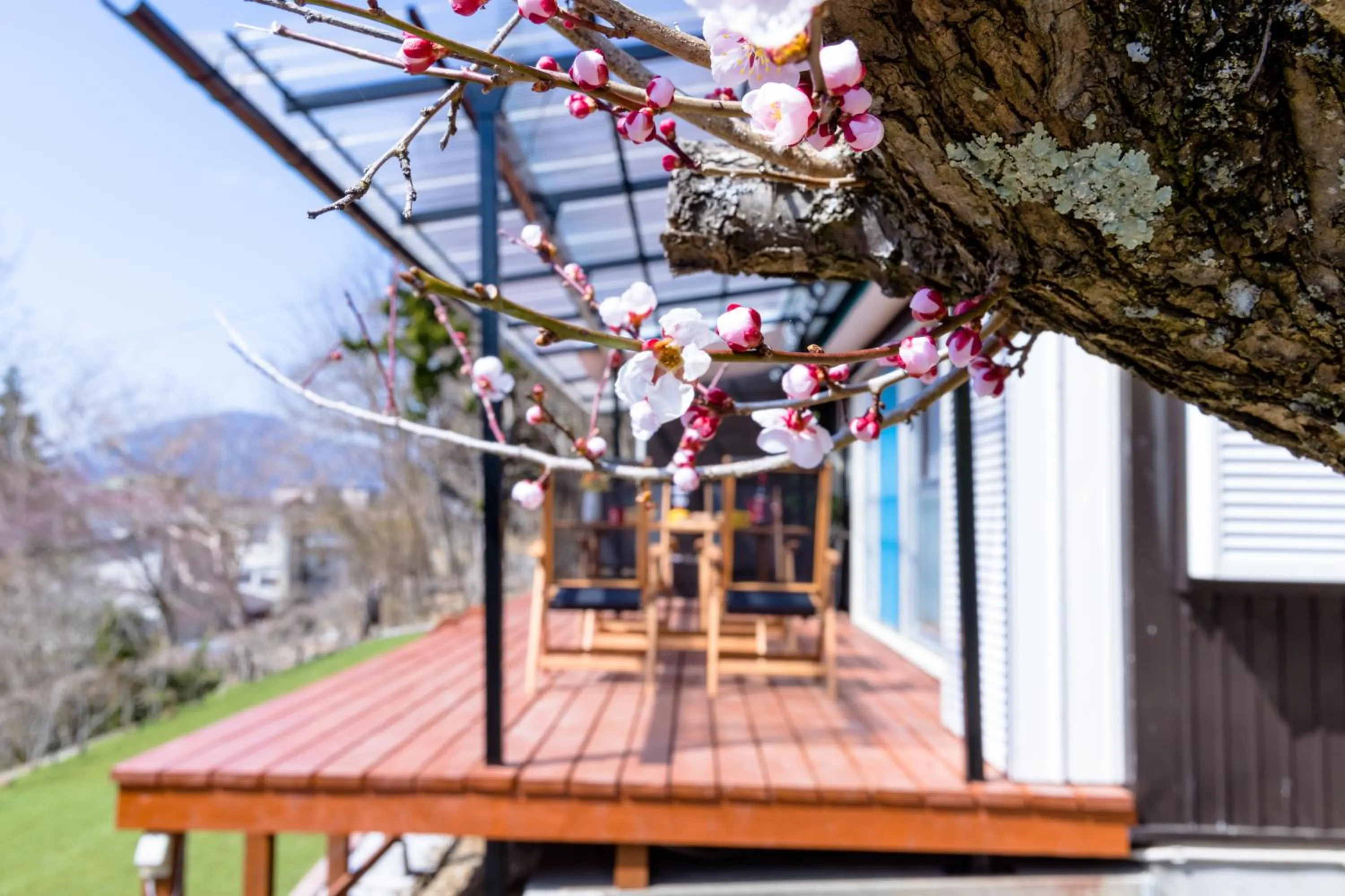 Property building in KoKo Terrace Fuji